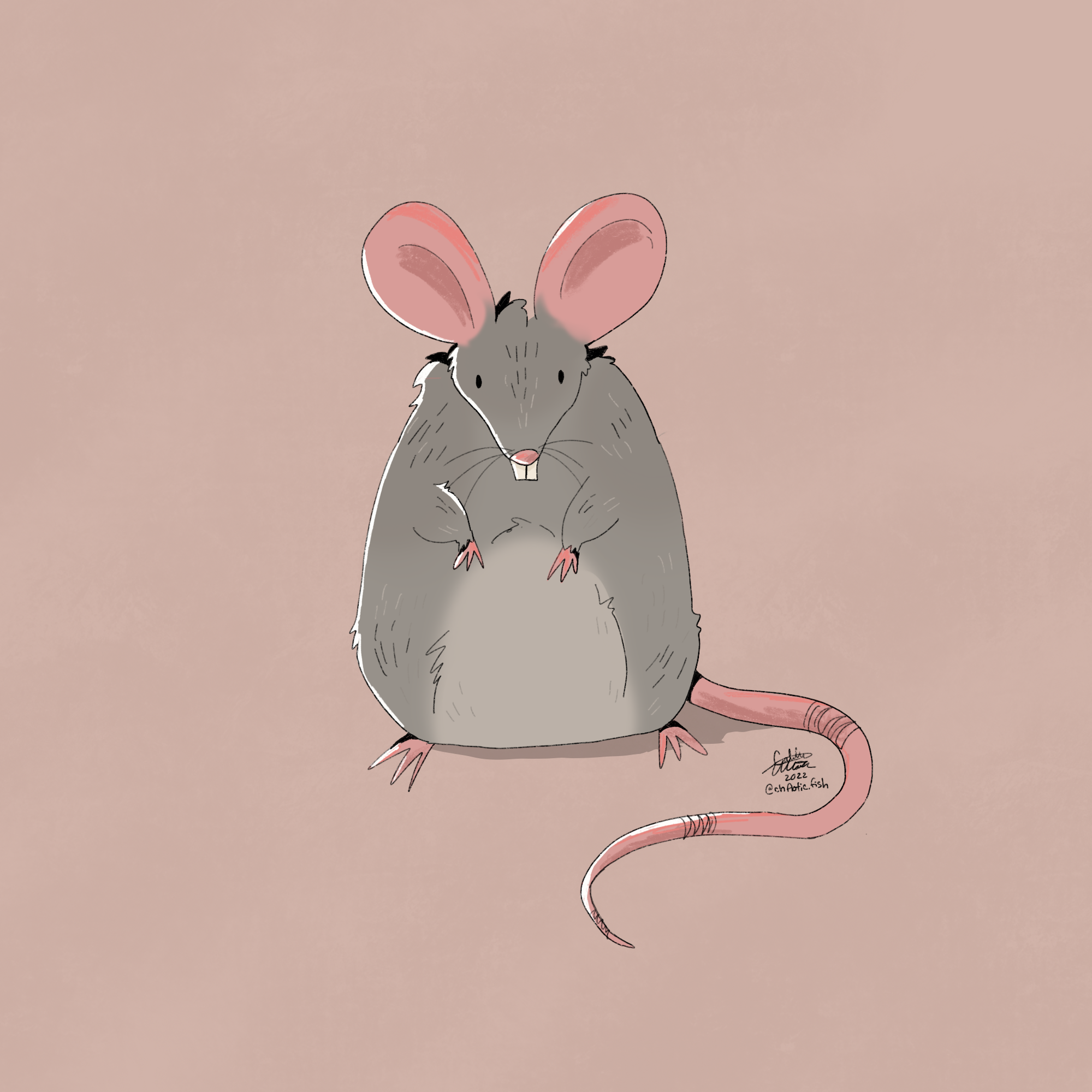 toothy_rat 3 copy.png