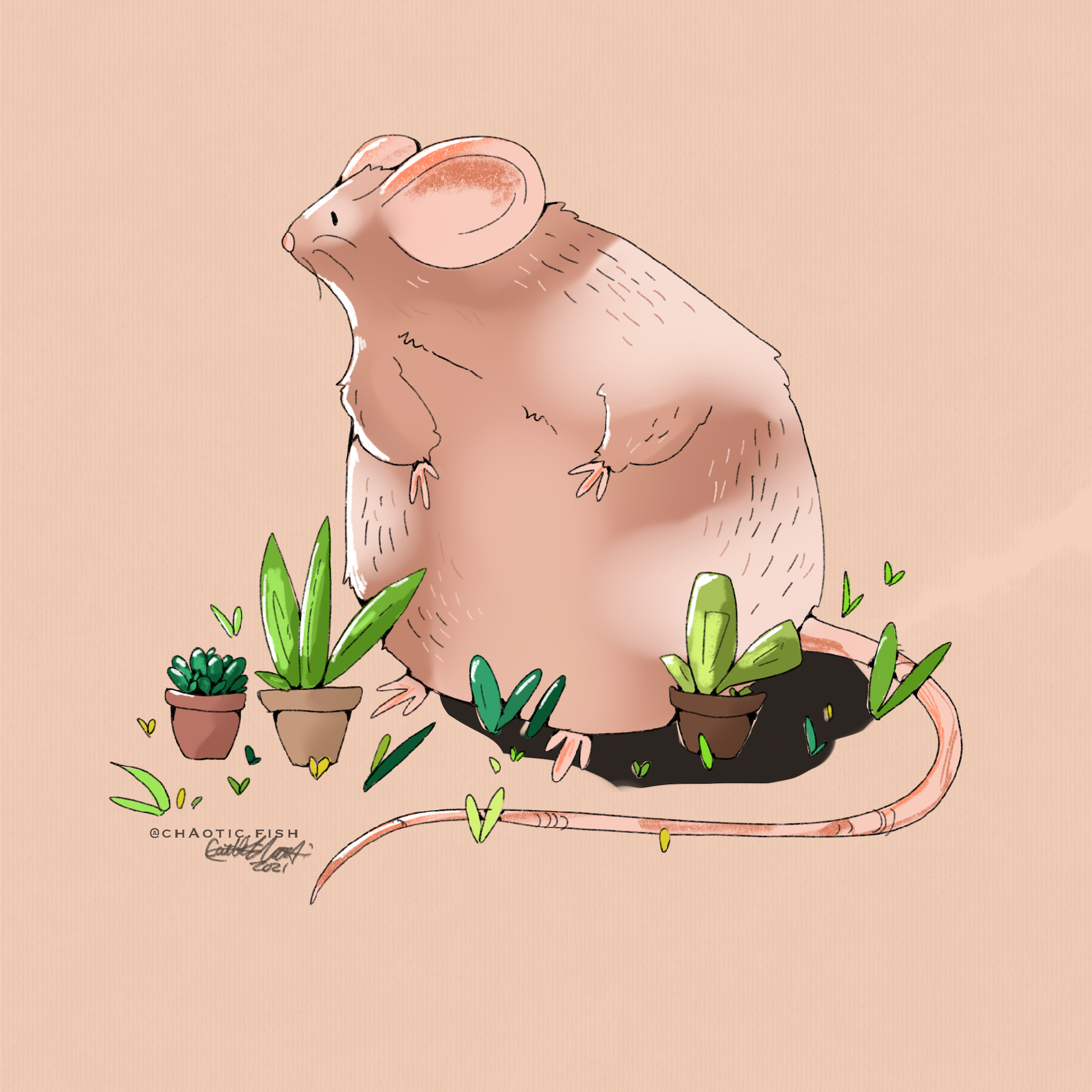 garden_rat_VIII copy.png