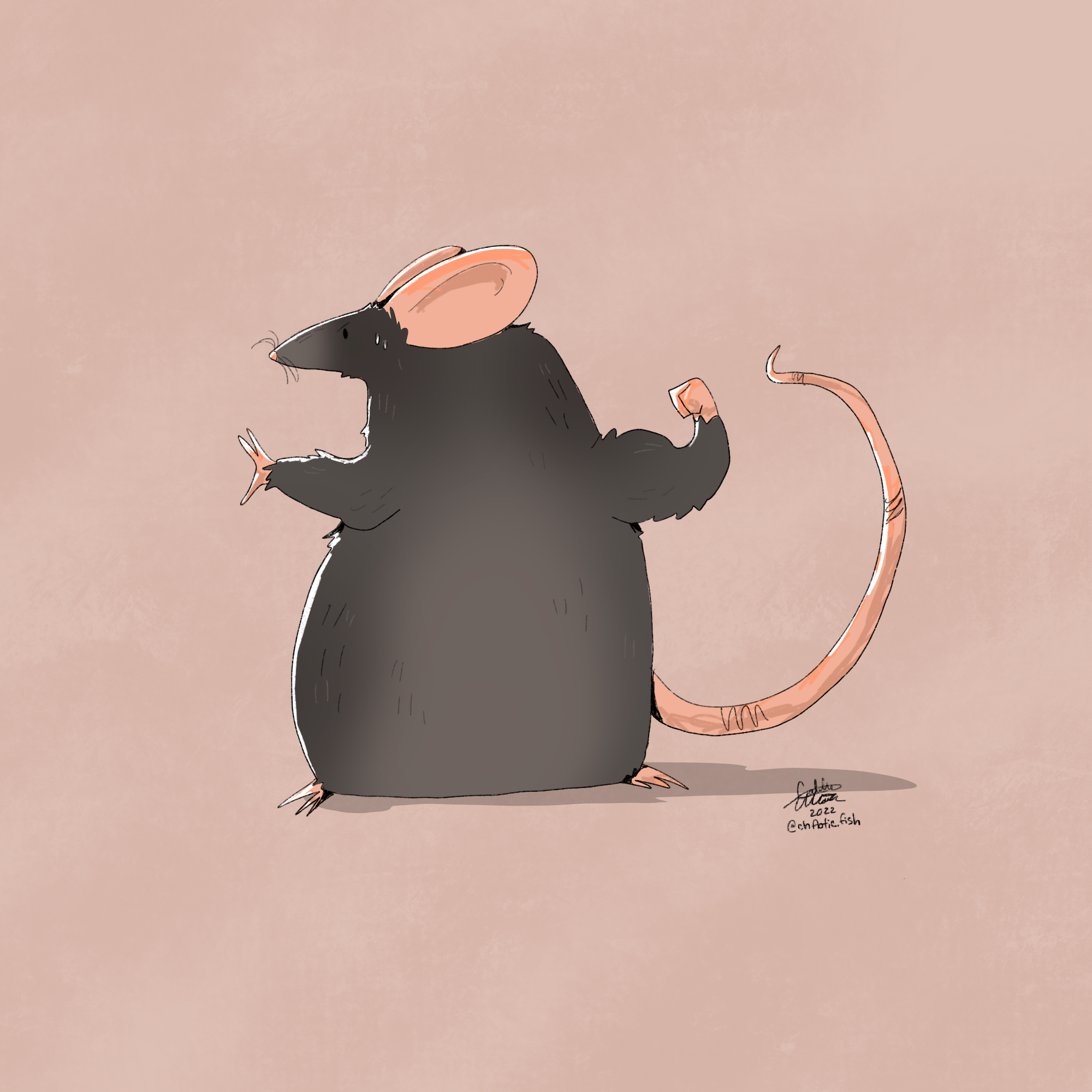 tough_rat 3 copy.png