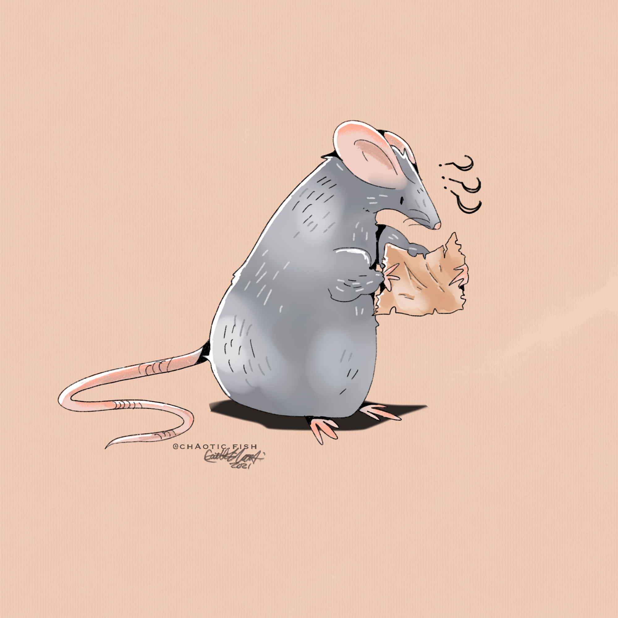 boggling_rat_XXVI copy.png