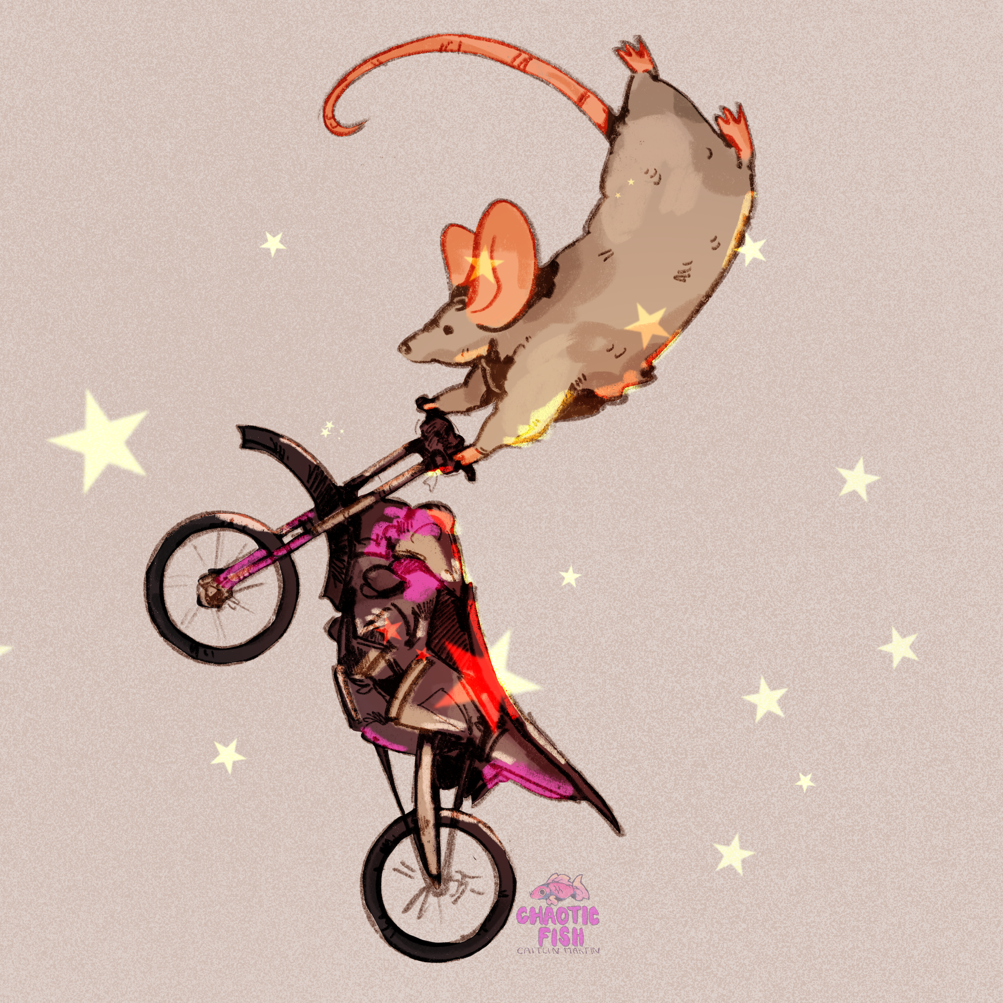 Extreme_14 5 copy.png