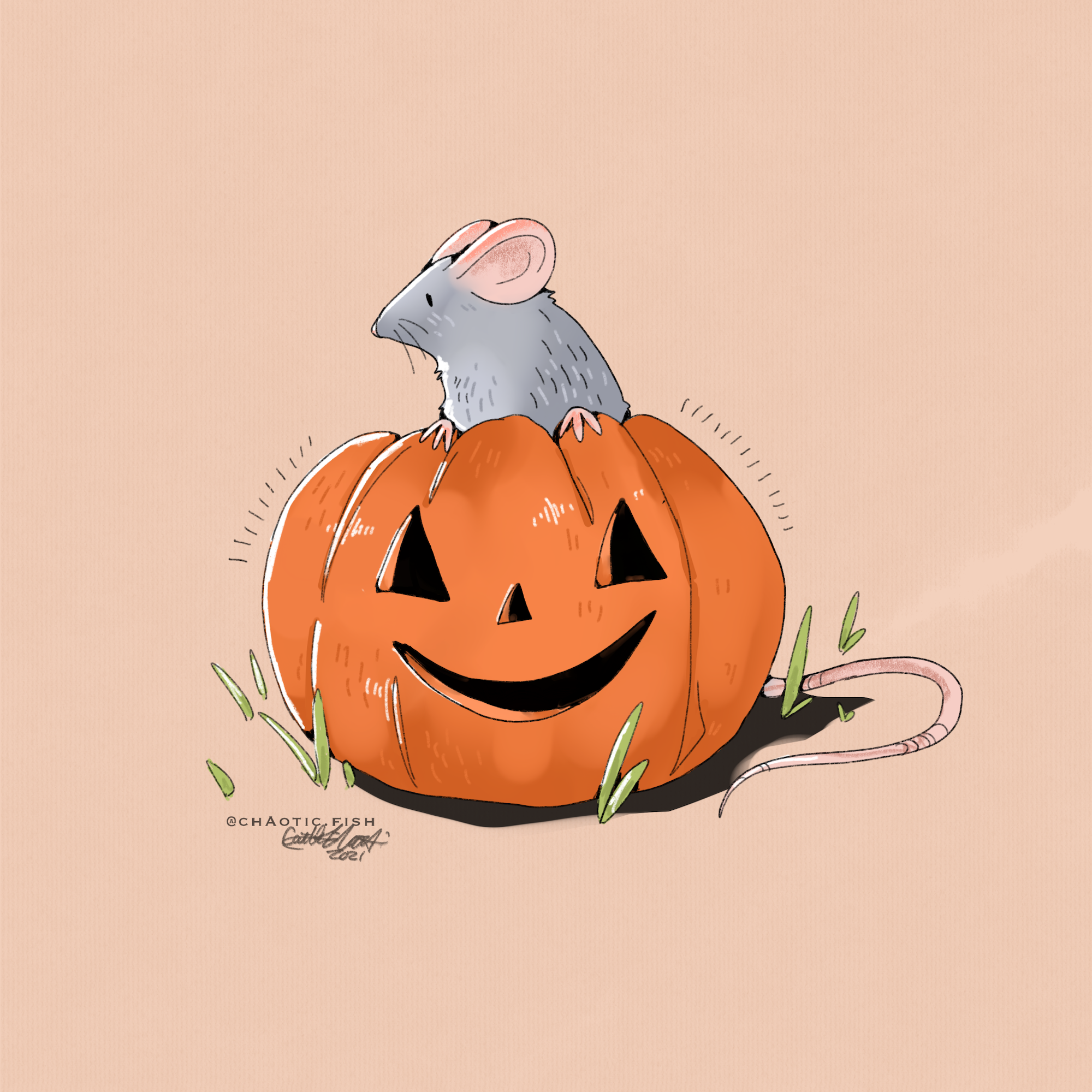 rat-o-lantern_XI copy.png