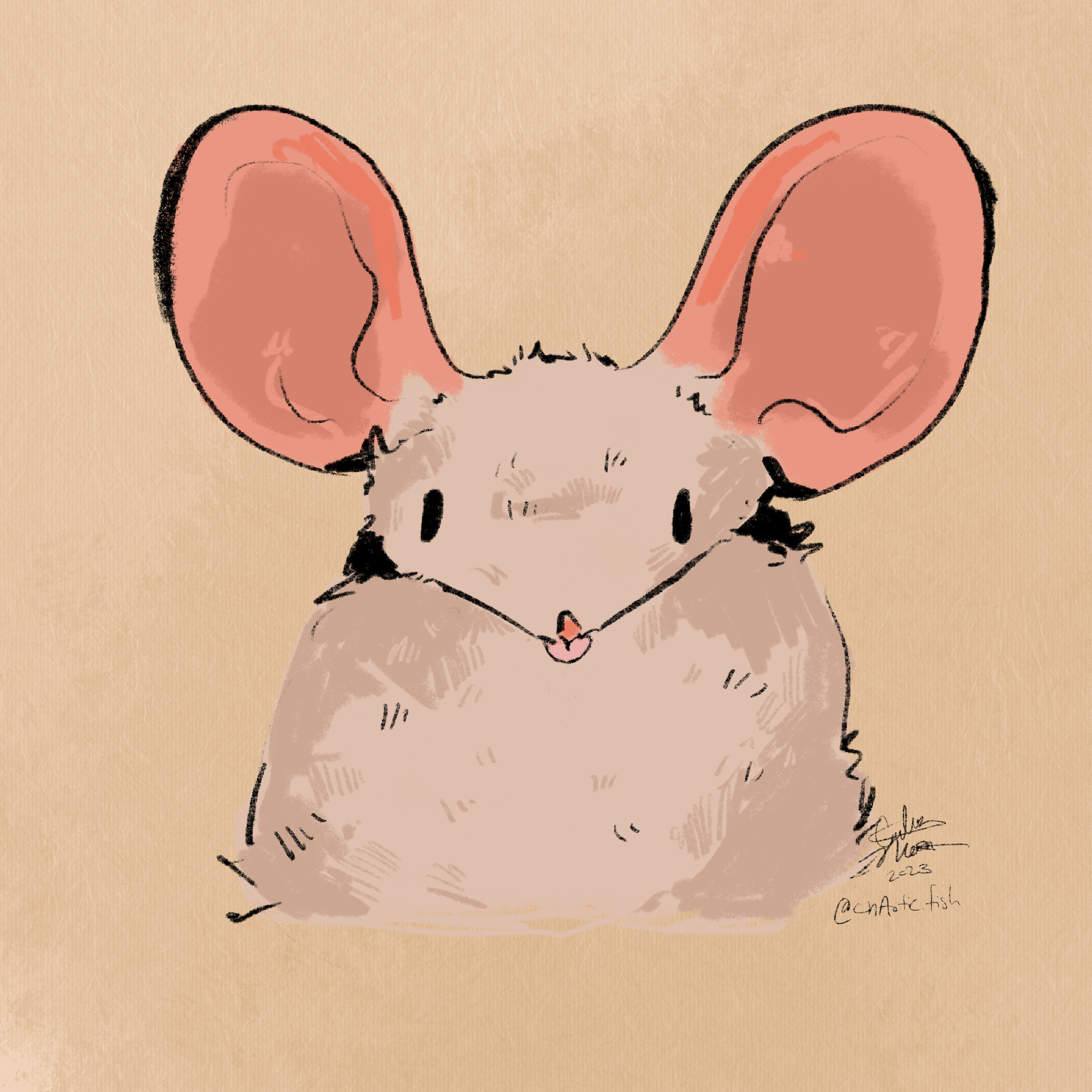 Mlem_Rat.png