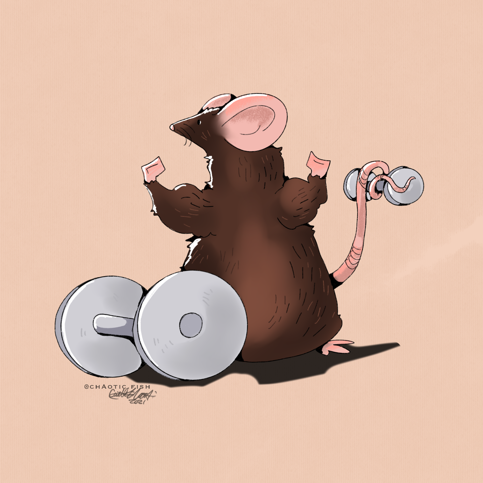 gym_rat_XXII copy.png