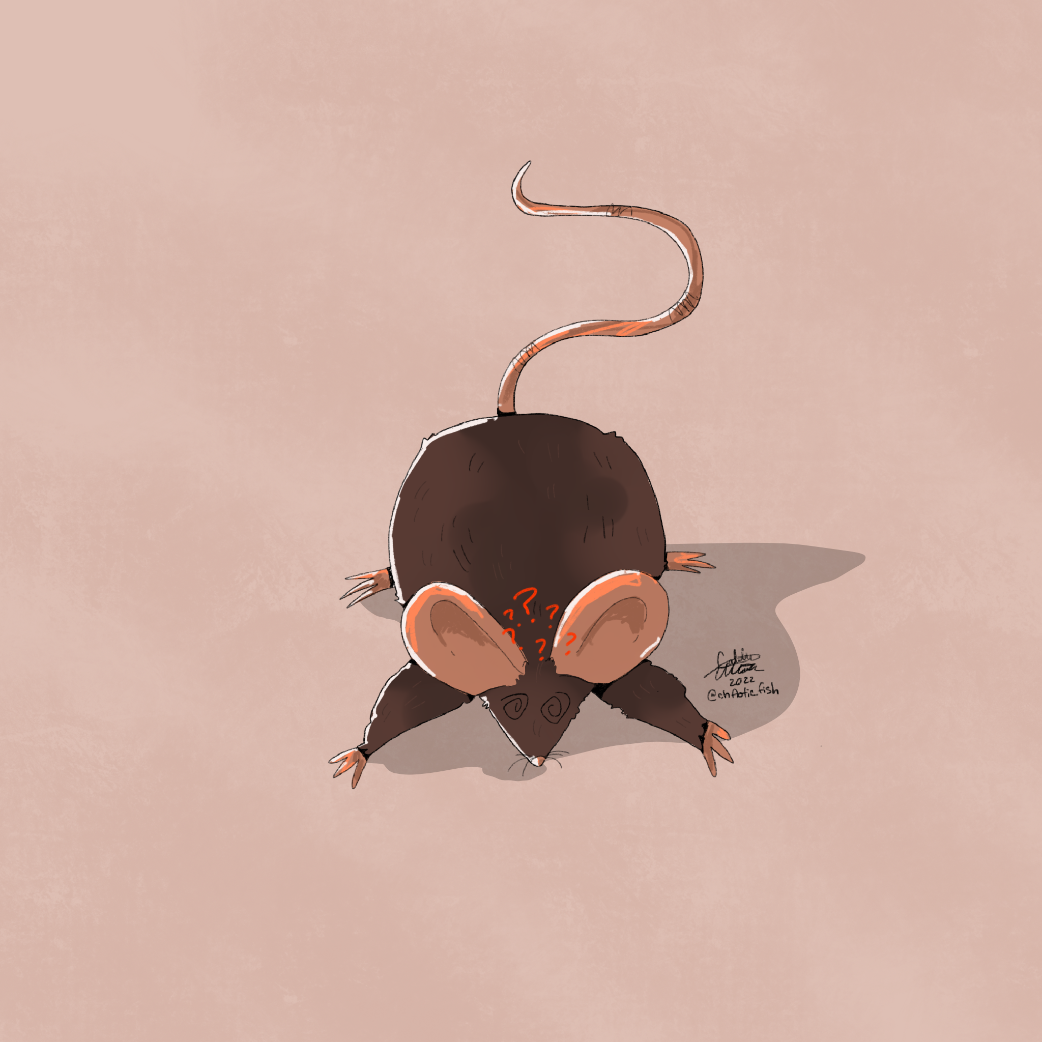 confused_rat 2.PNG