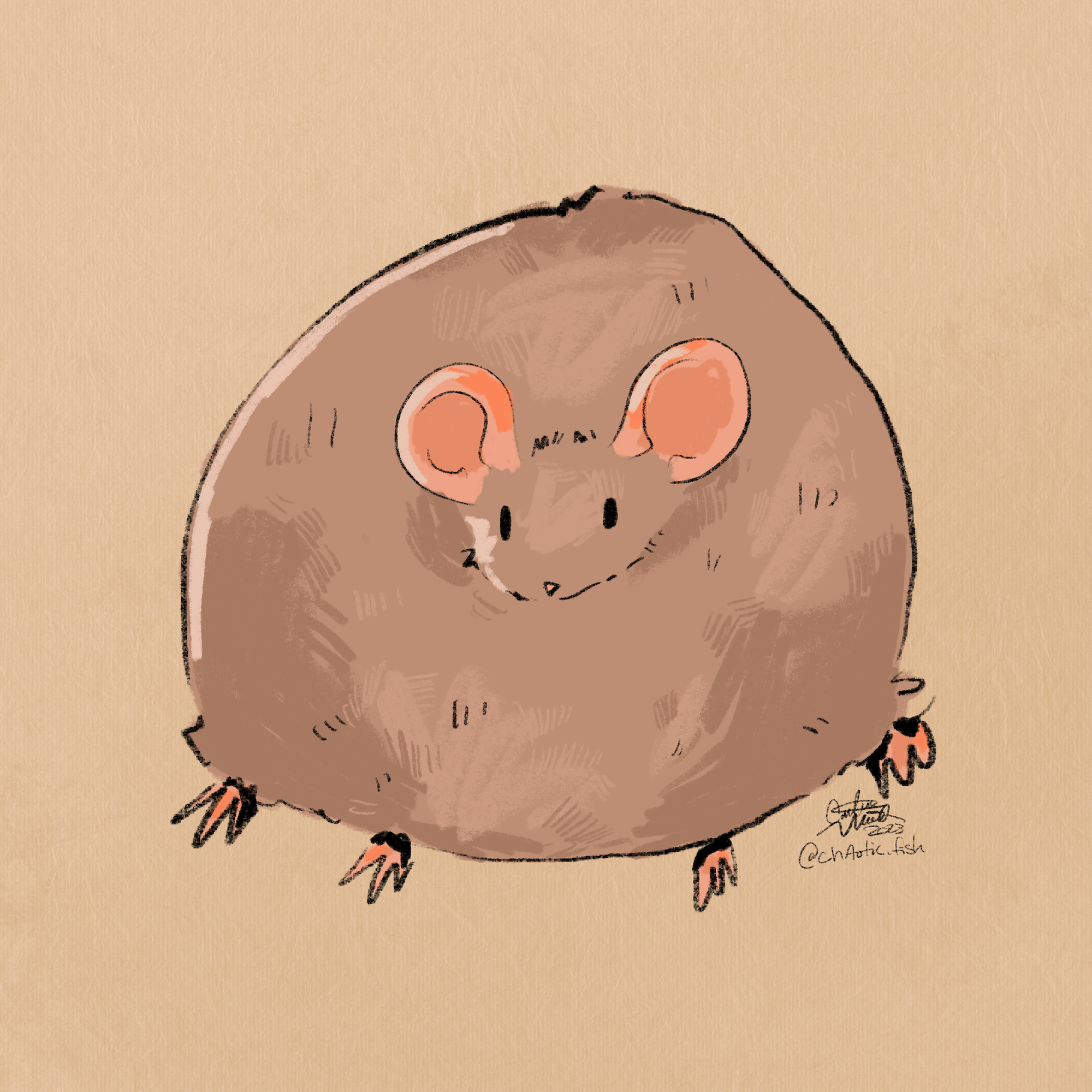 Round_Rat.png