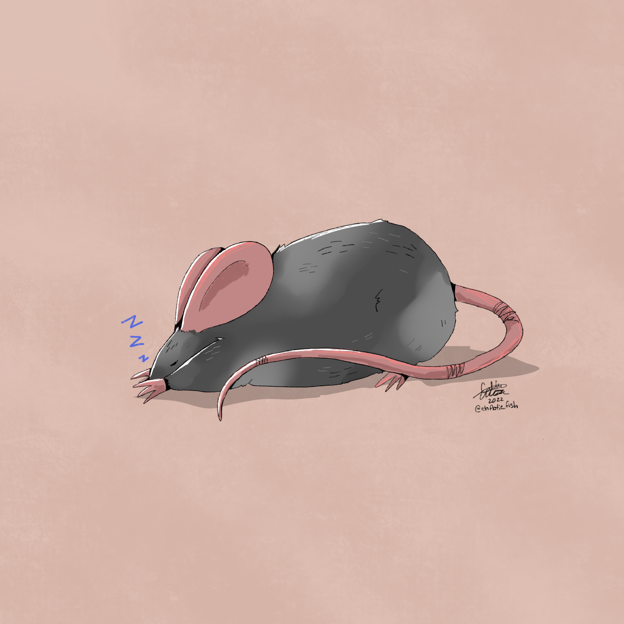 sleepy_rat 3.PNG