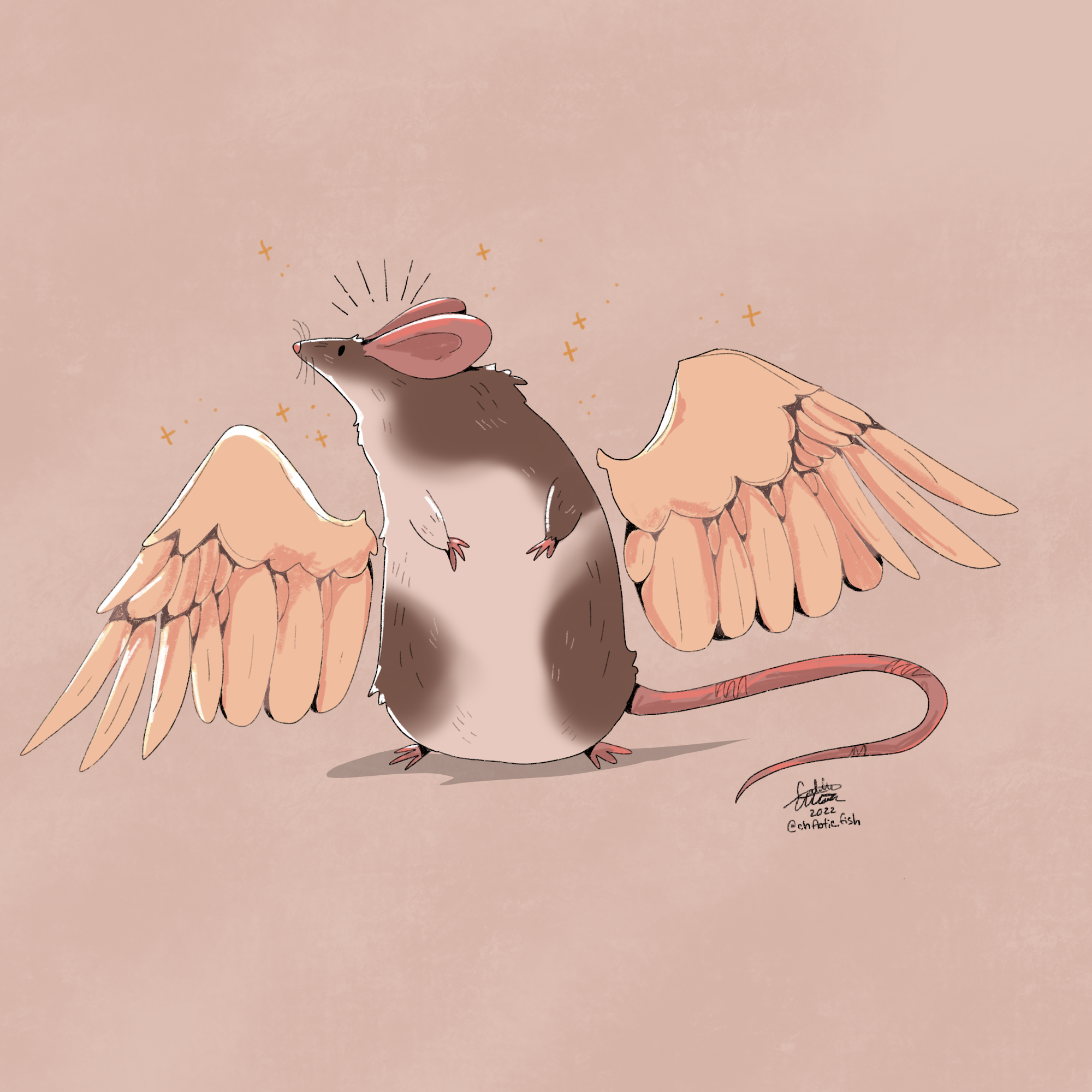 winged_rat 3 copy.png