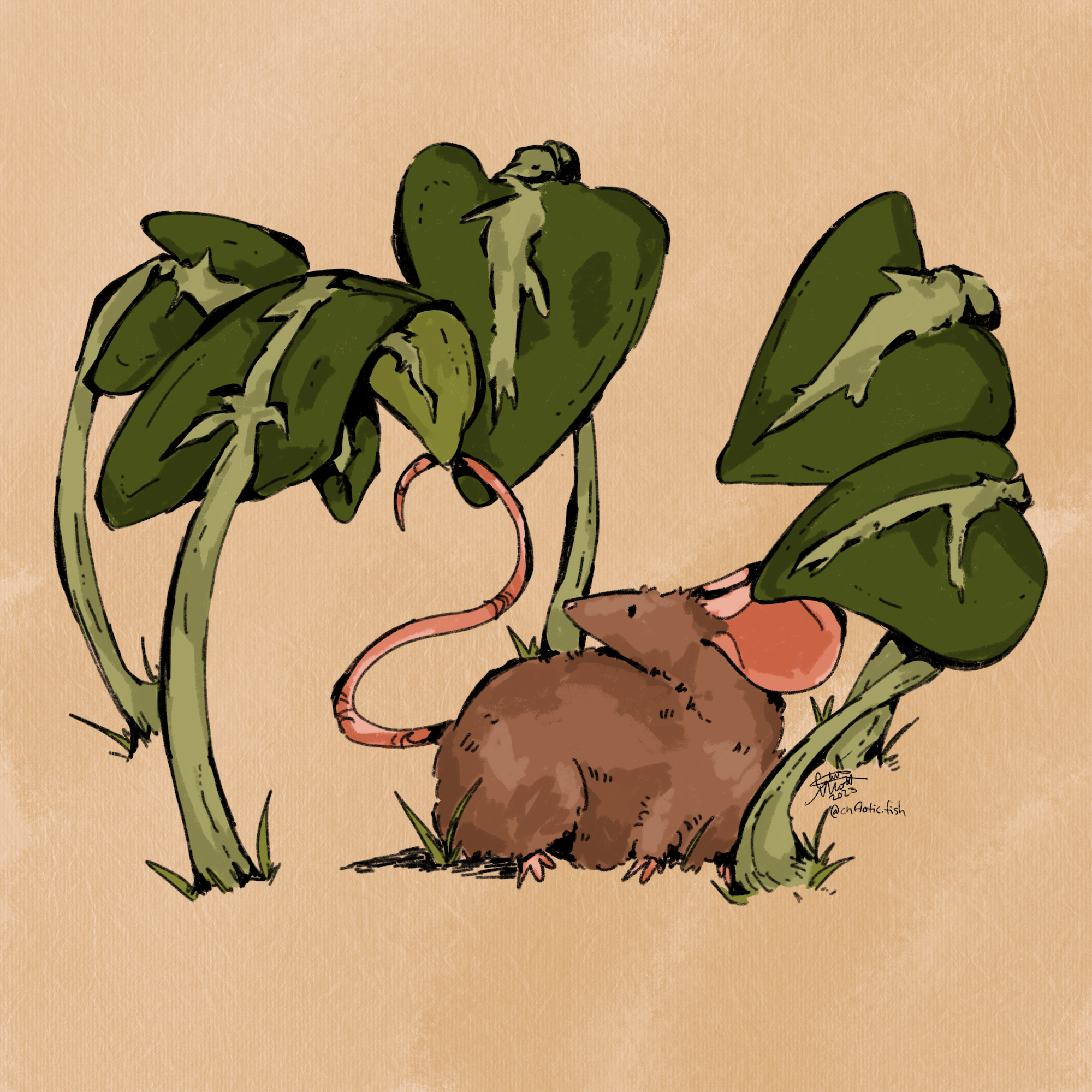 Botanist_Rat.png