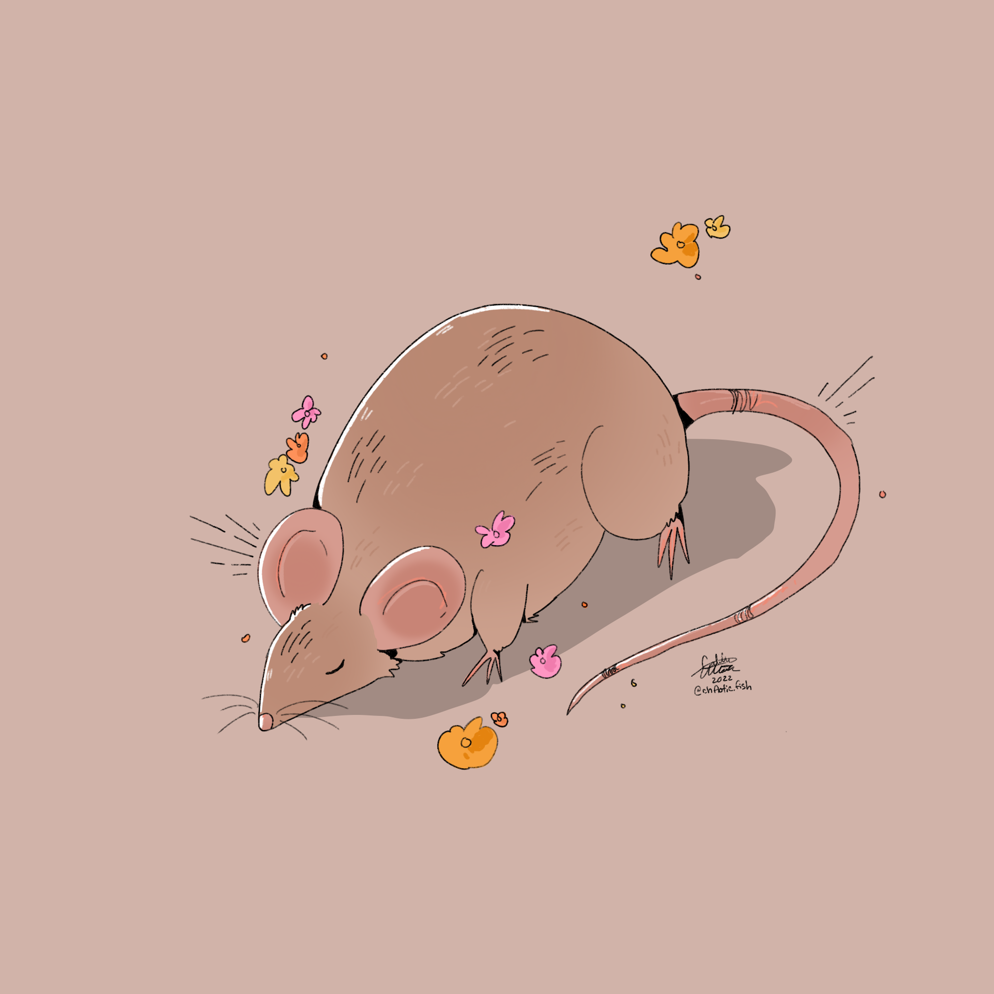 good_rat copy.png