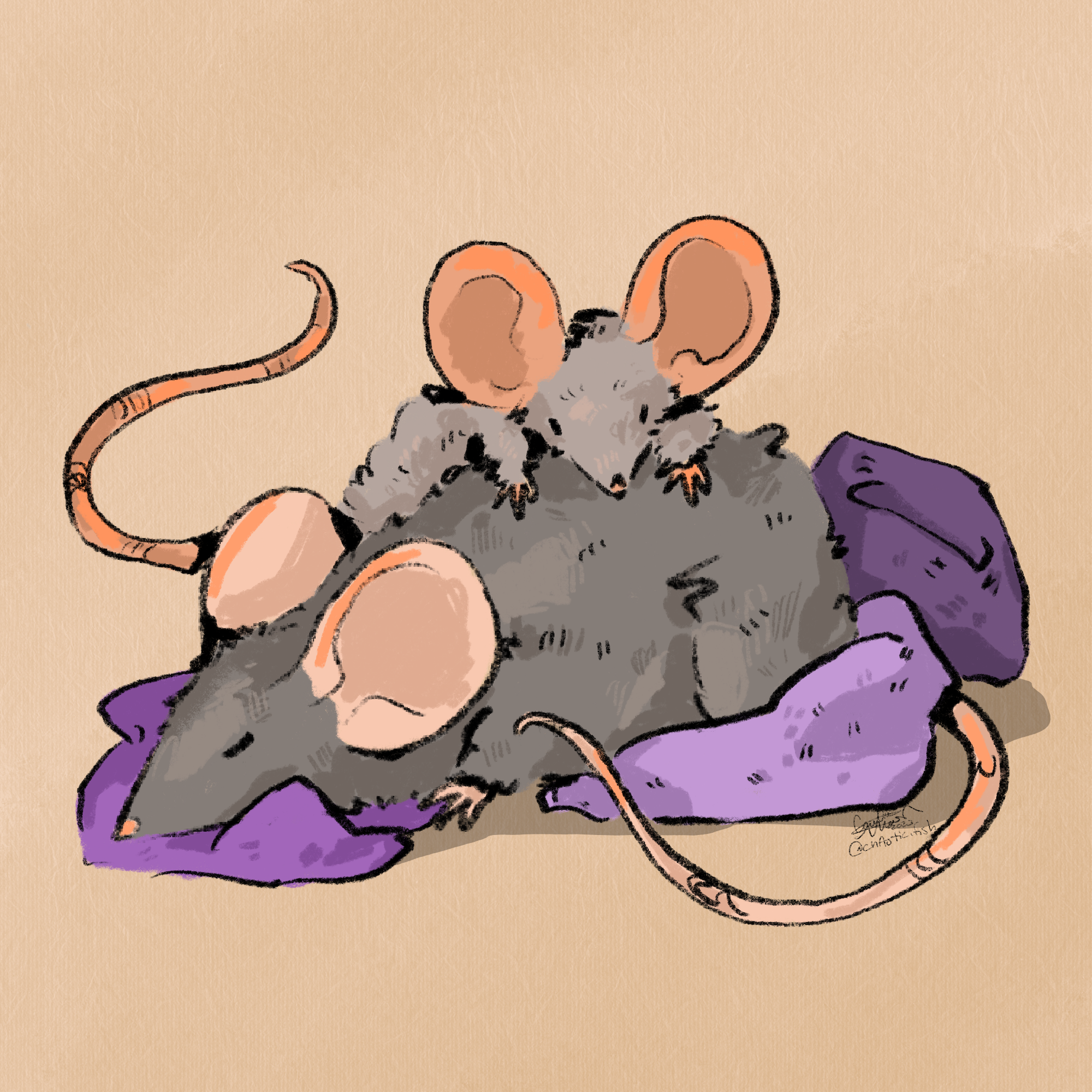 Nesting_Rat.png