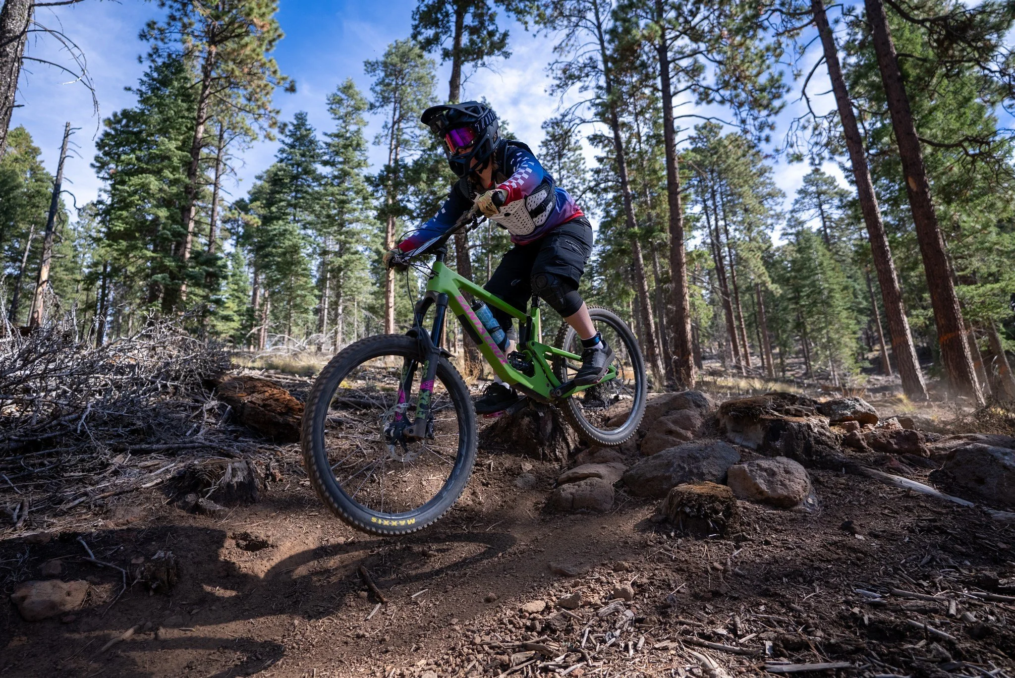 A person mountain biking downhill on a rocky trail in a forest with tall pine trees under a blue sky.