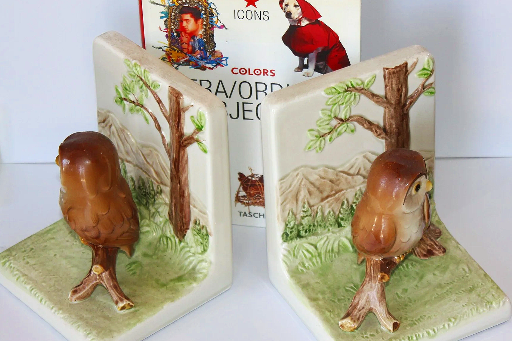 Decorative ceramic bookends featuring nature scenes with trees, mountains, an owl, and a carved owl figure. In the background, there is a colorful kit with a photo of a man, a dog in a red outfit, and text related to icons, colors, and words.