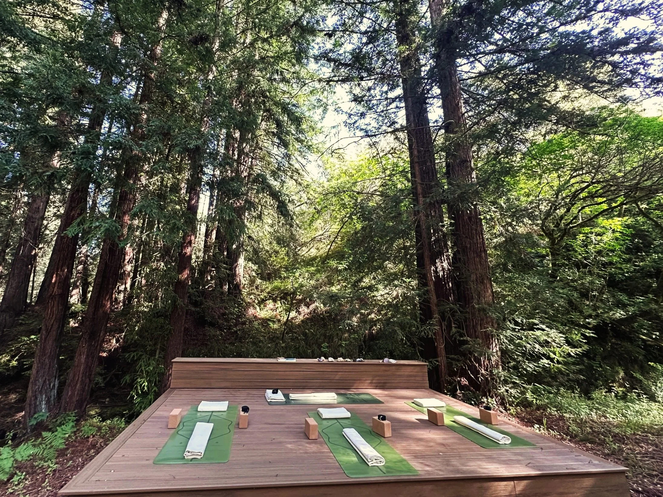 Outdoors on a wooden deck, yoga mats, blocks, and blankets set up on the ground, surrounded by tall trees with dense green foliage