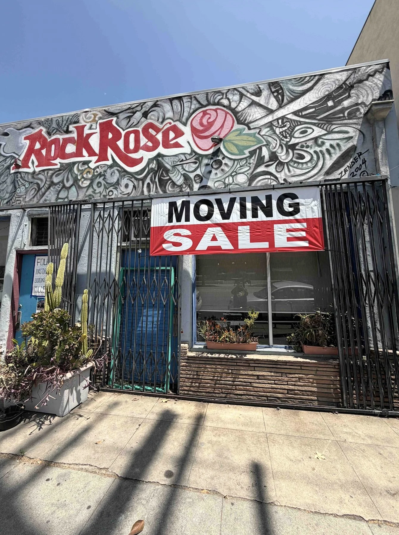 Rock Rose.jpeg