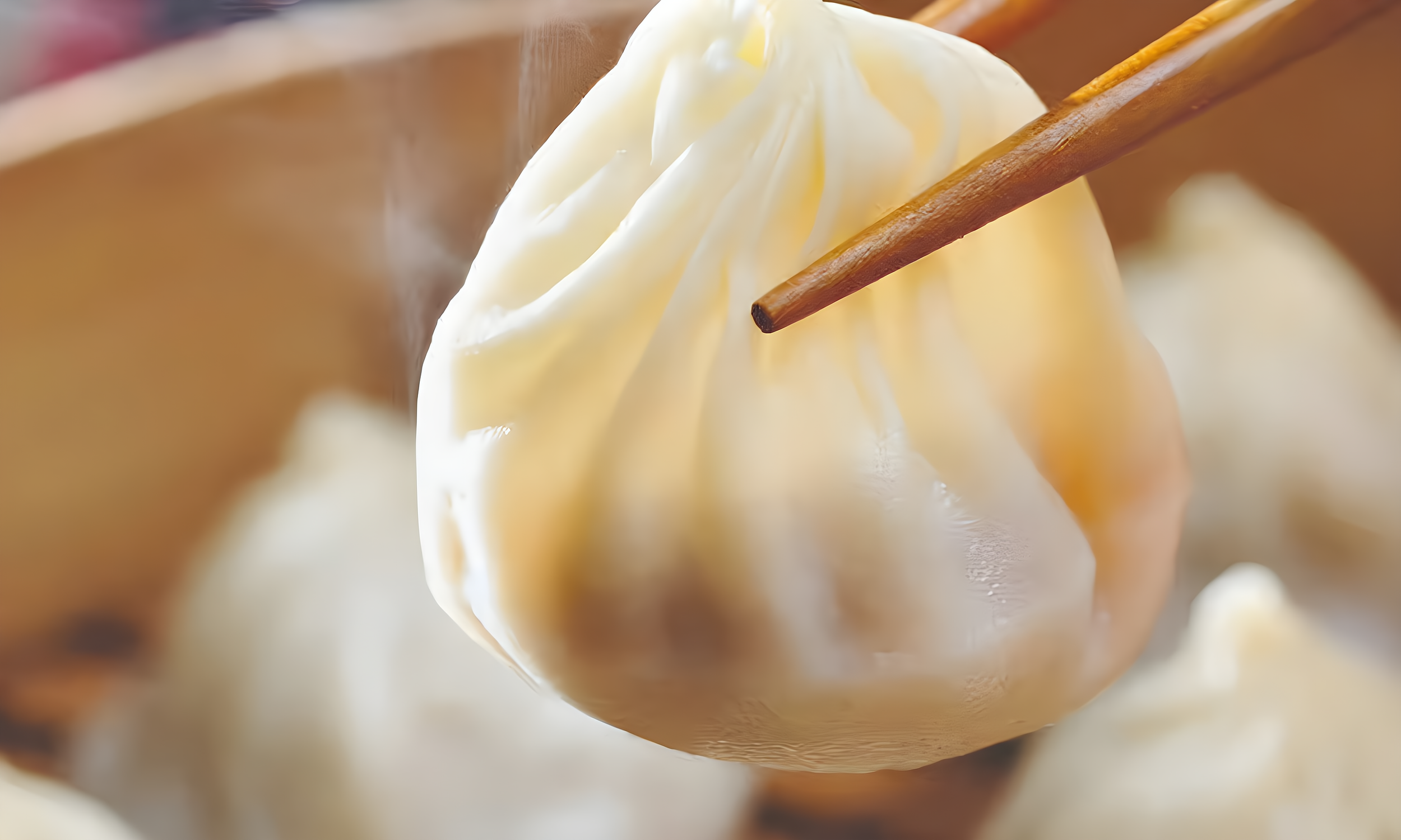 House of Dumplings - Chico_image.jpeg