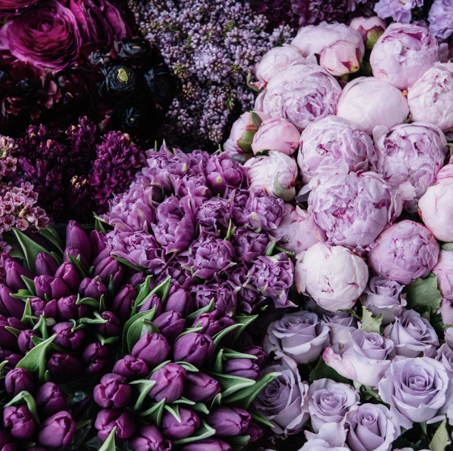 Colour Theory Principles Using Purple