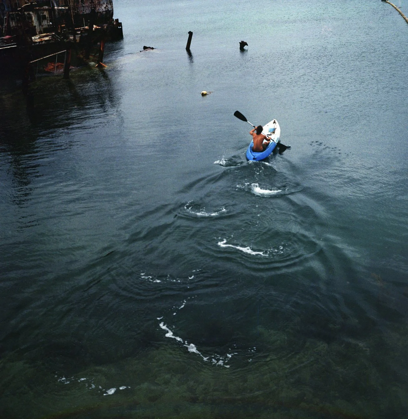 summer240048.jpg
