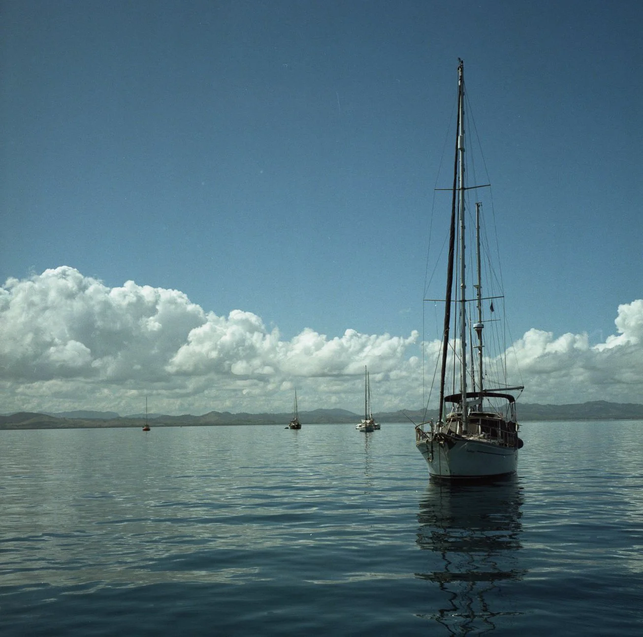 summer240035.jpg