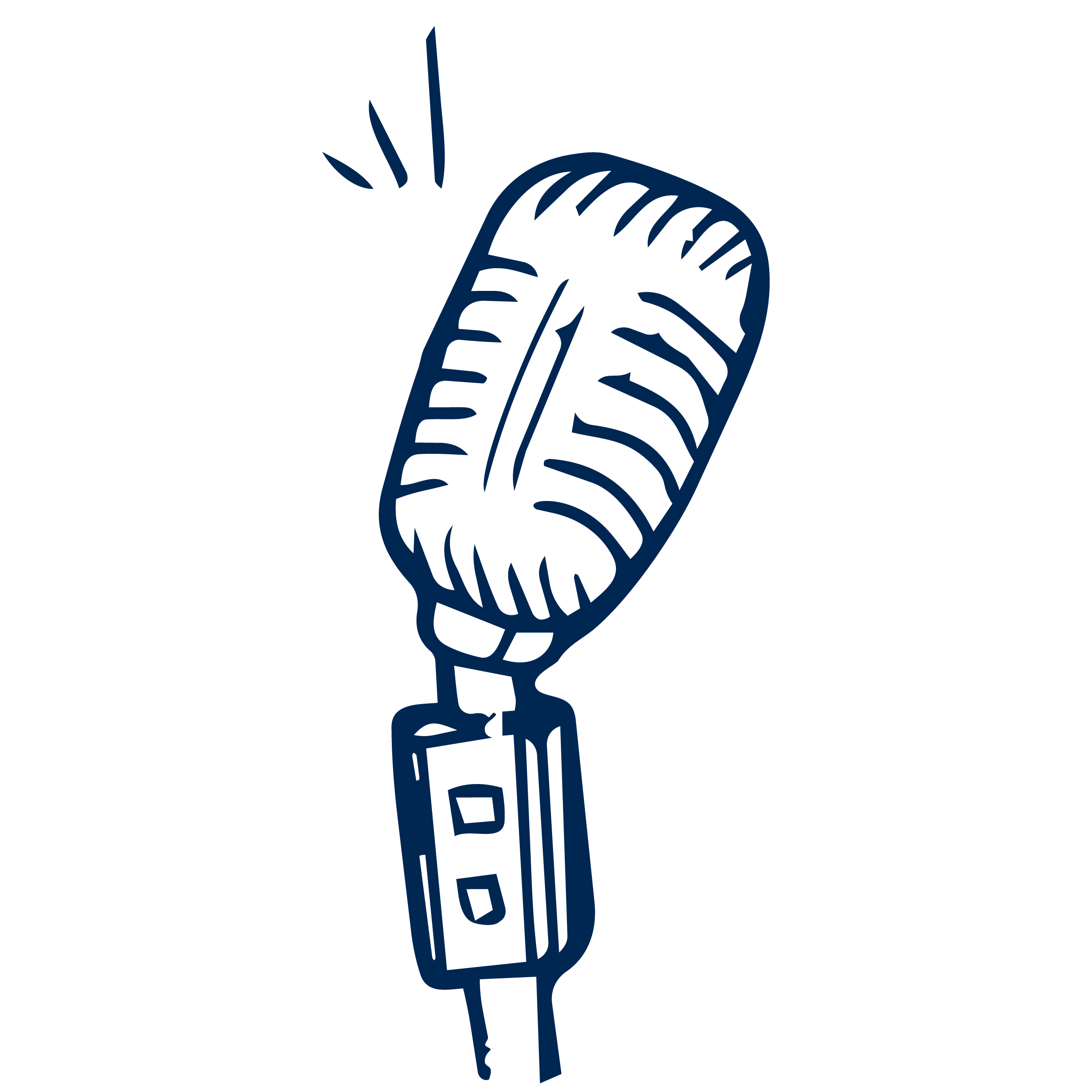 20+ years on the mic
