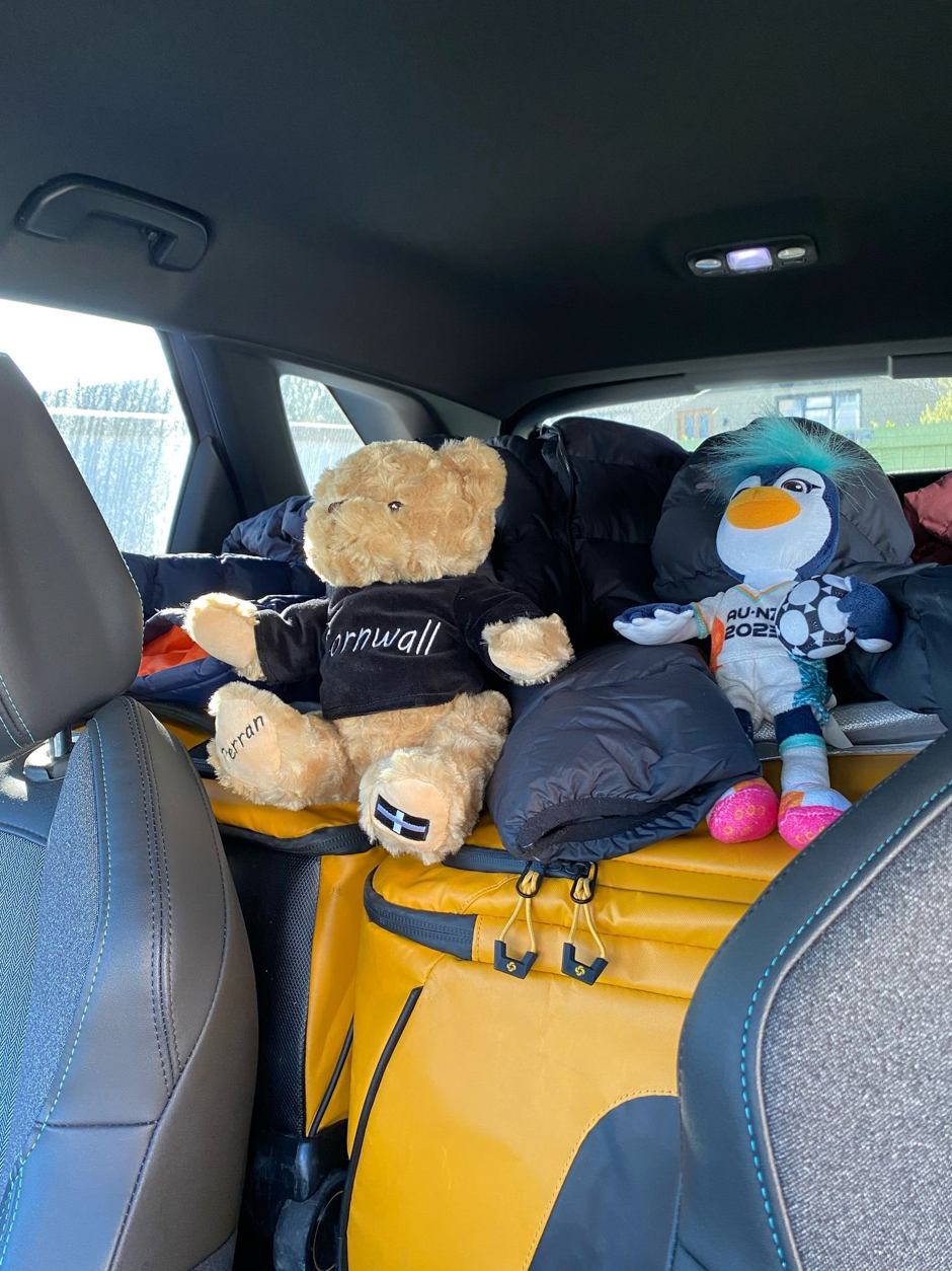 Our models Kernow bear and Freda demonstrate the car packing Tetras
