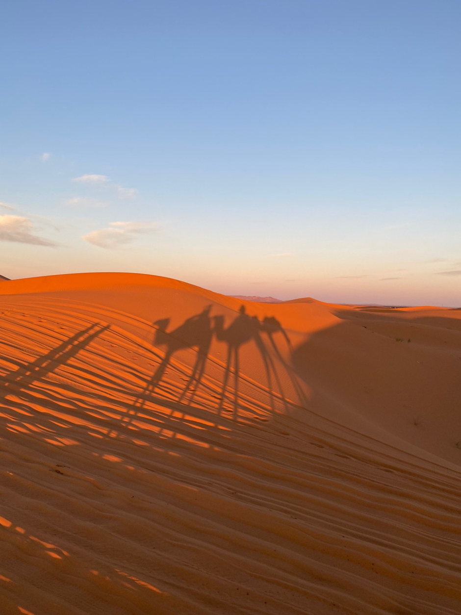Shadows on the Sahara