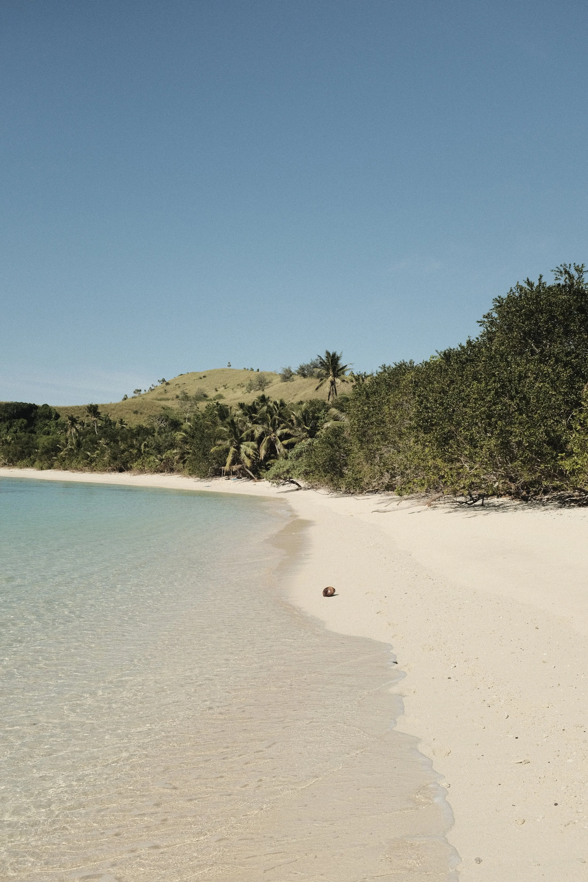 A sandy beach with clear calm water, lush green trees and a hillside with dry grass, under a clear blue sky.
