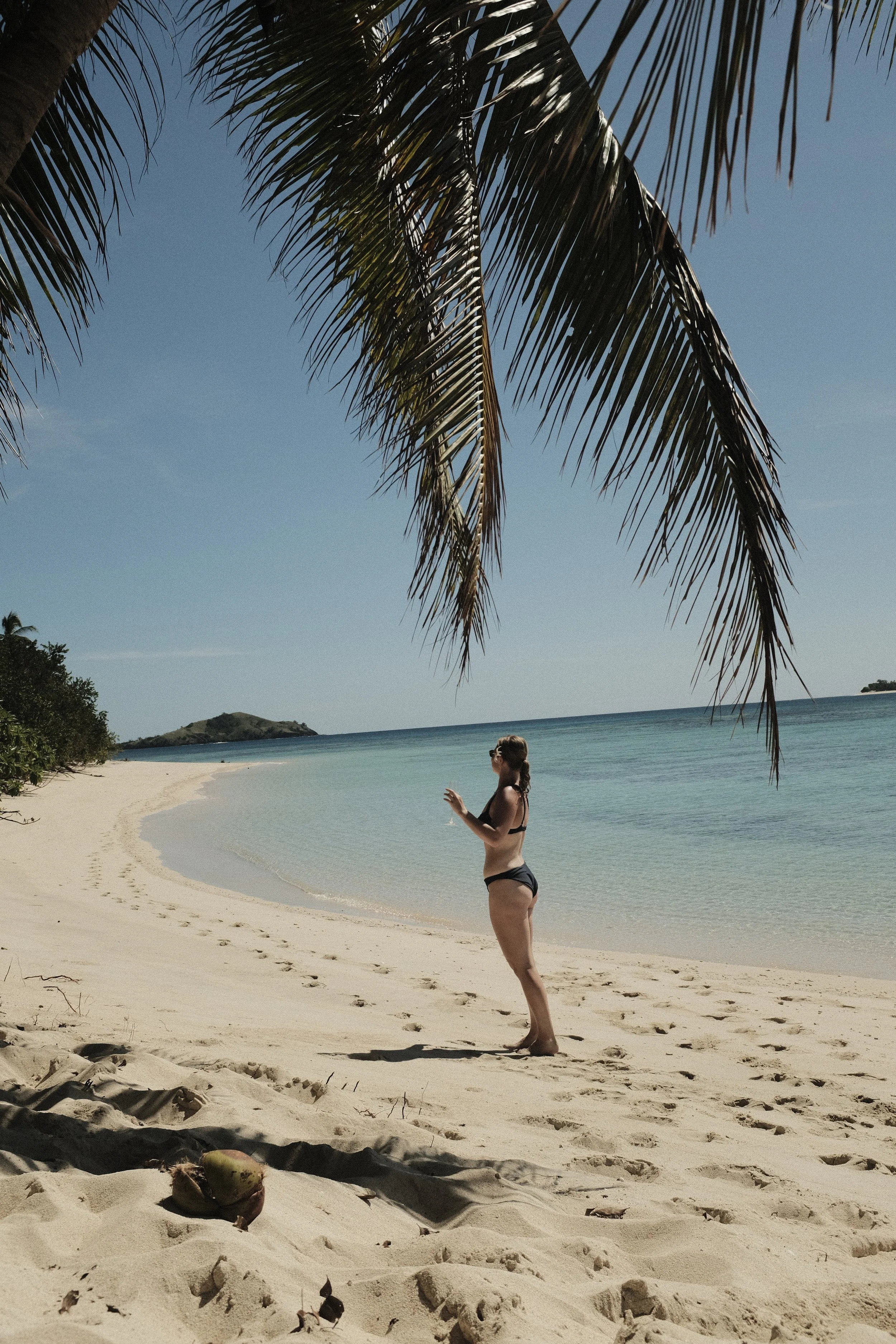 A woman in a black bikini stands on a sandy beach under a palm tree, with a view of the ocean and a small island in the distance.