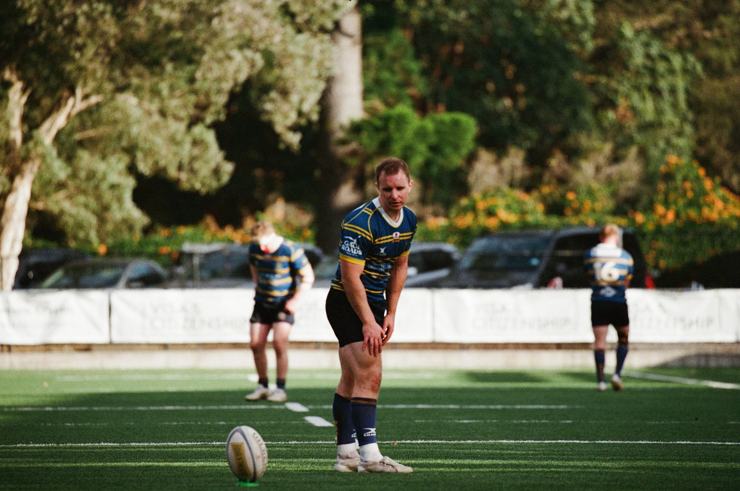 A rugby player in a blue and yellow jersey on the field preparing for a kick.