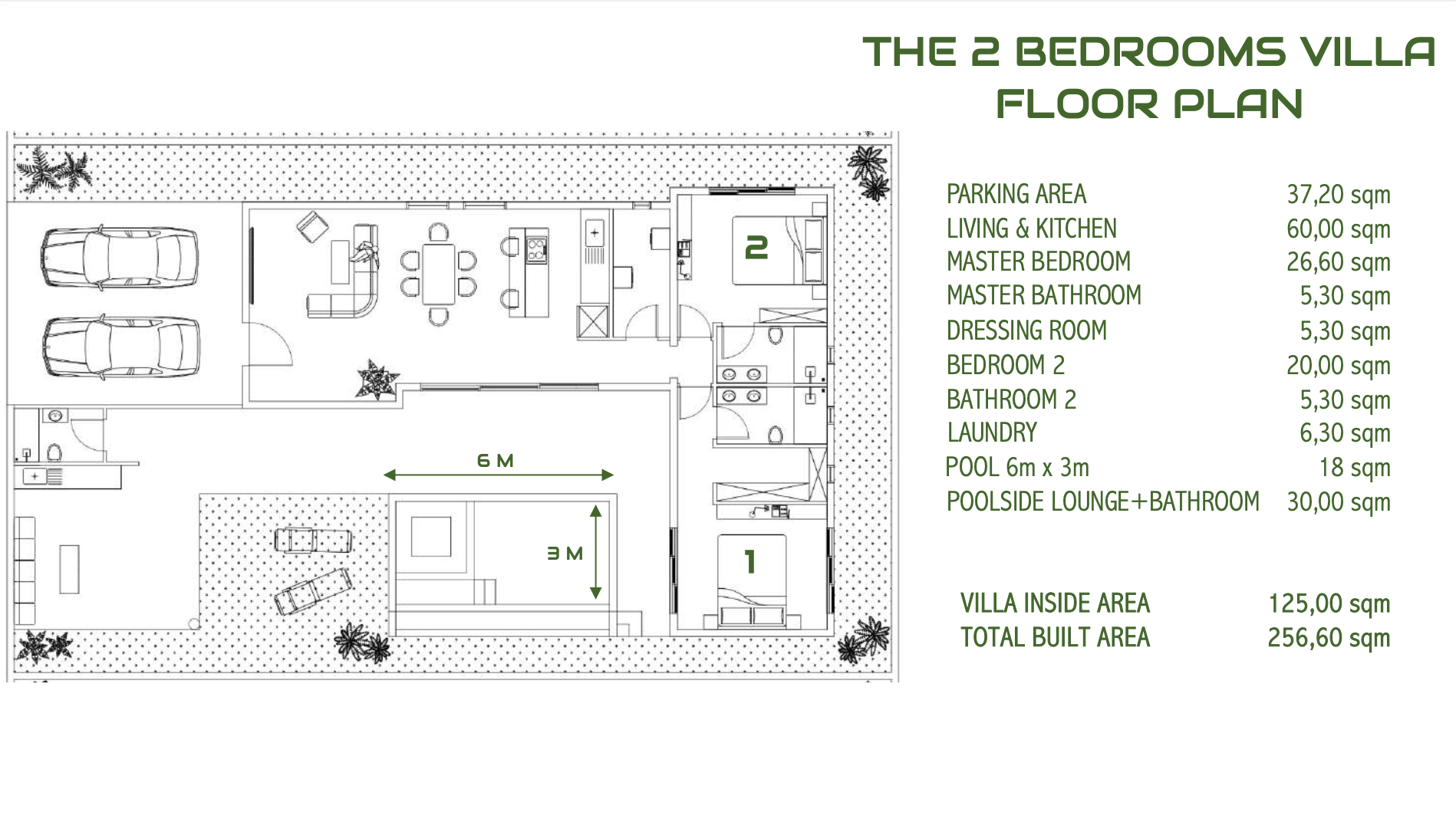 Floor plan of a two-bedroom villa featuring a parking area with two cars, living and kitchen area, master bedroom, master bathroom, dressing room, second bedroom, second bathroom, laundry room, pool measuring 6 meters by 3 meters, and a poolside loun