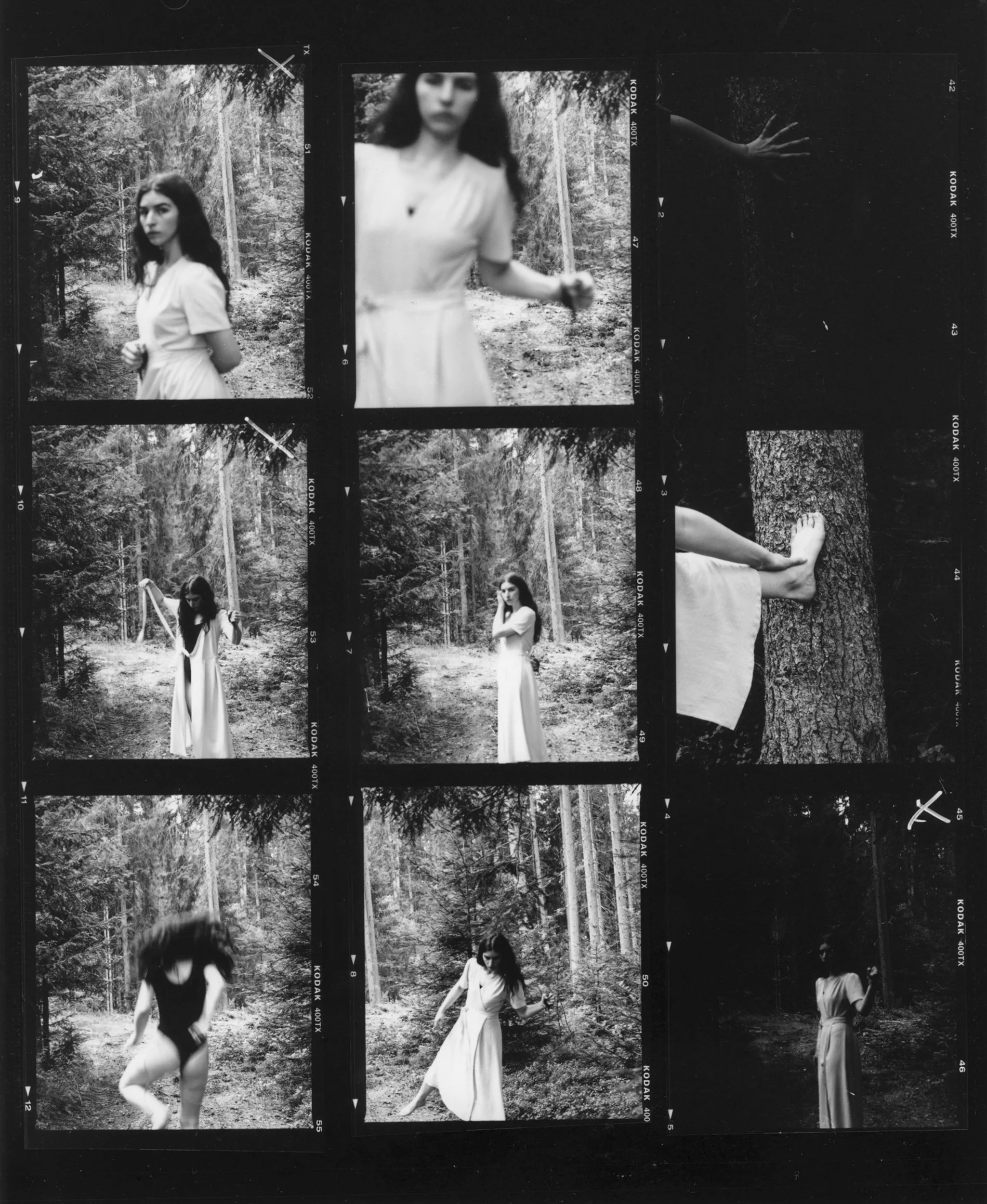 internal landscapes 06.jpg