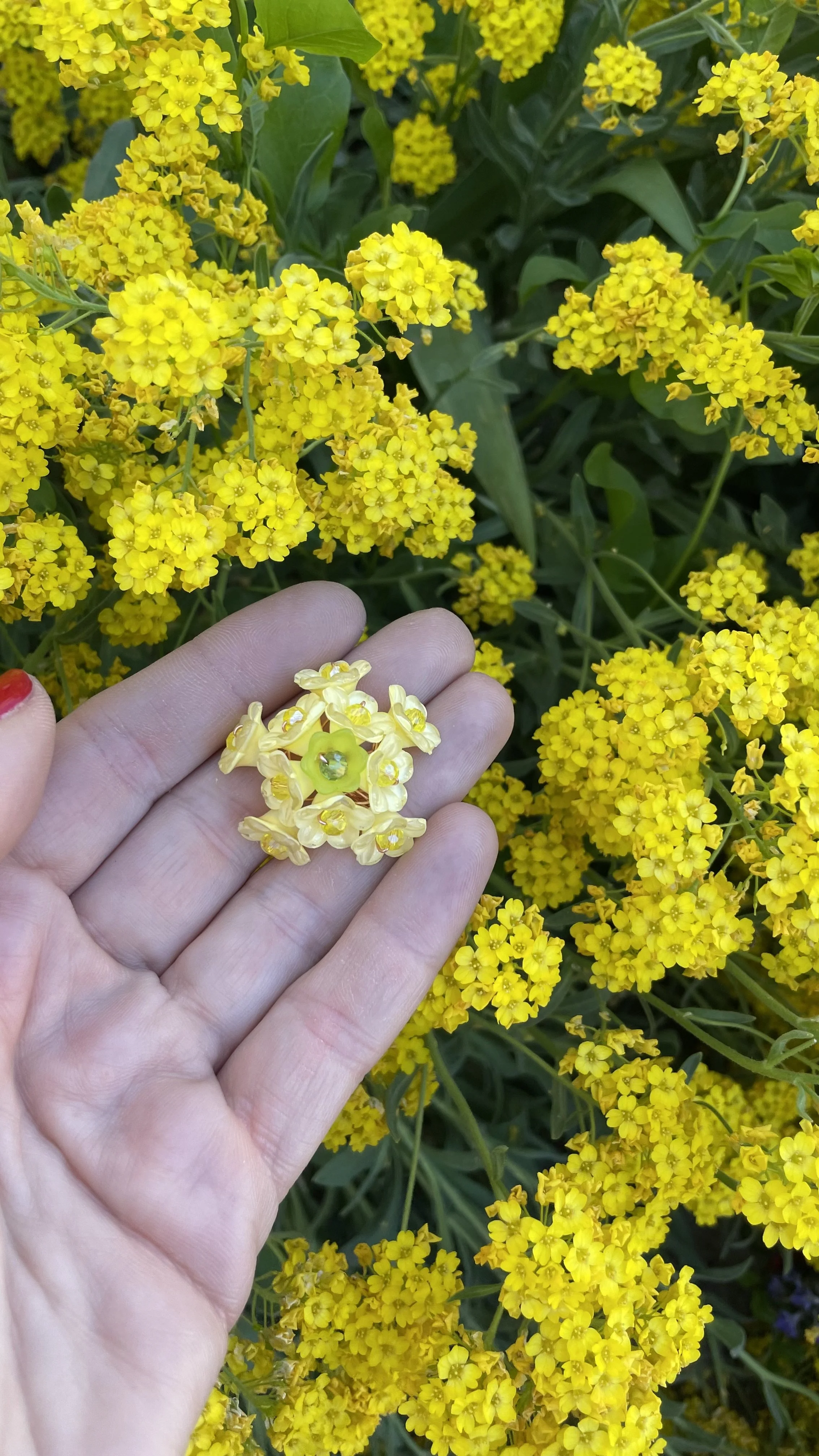 Eine Hand hält eine kleine gelbe Blume vor einem Hintergrund voller gelber Blumen.