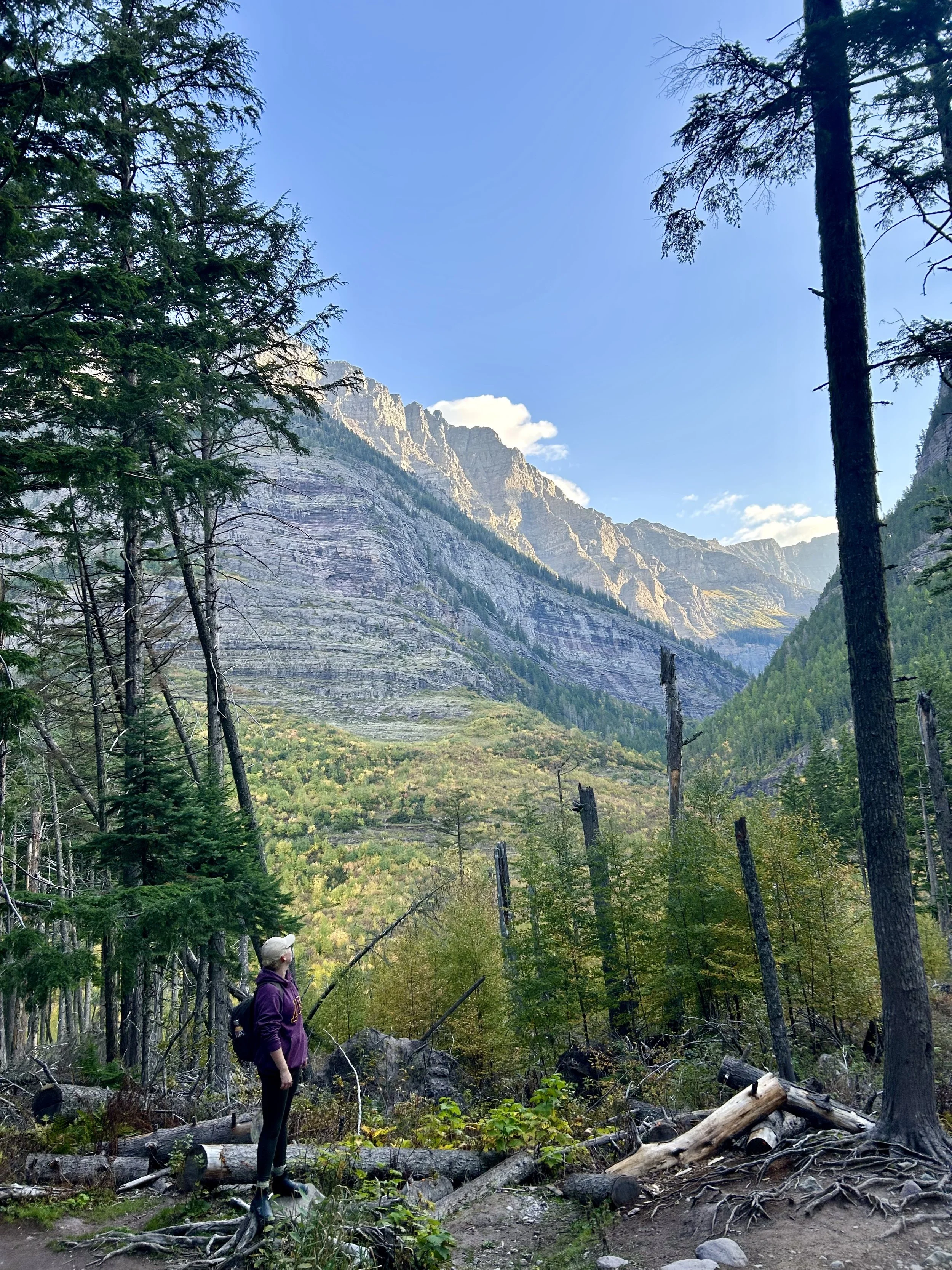 A person standing on a hiking trail looking up at large mountains.
