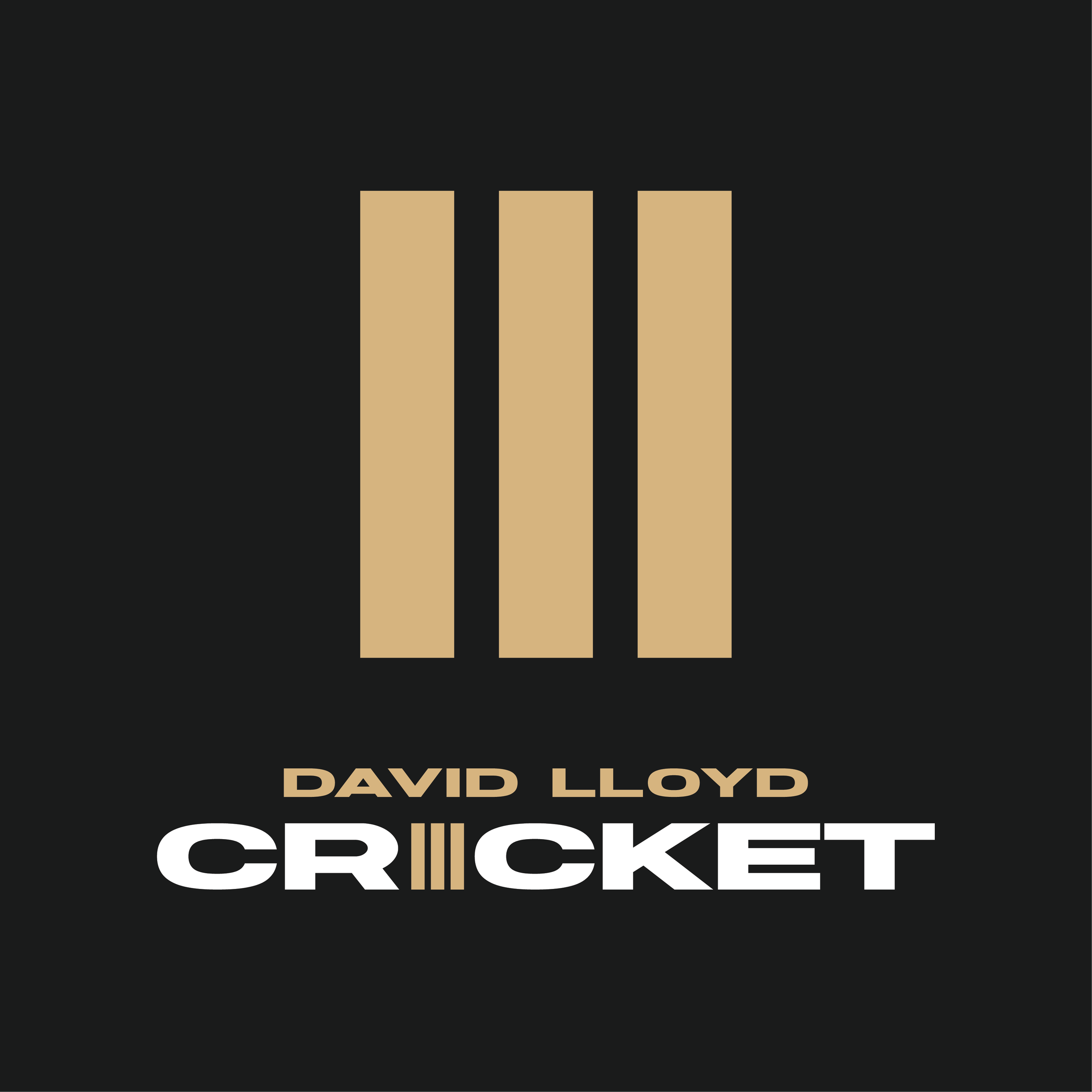 David Lloyd Cricket Coaching Gift Card