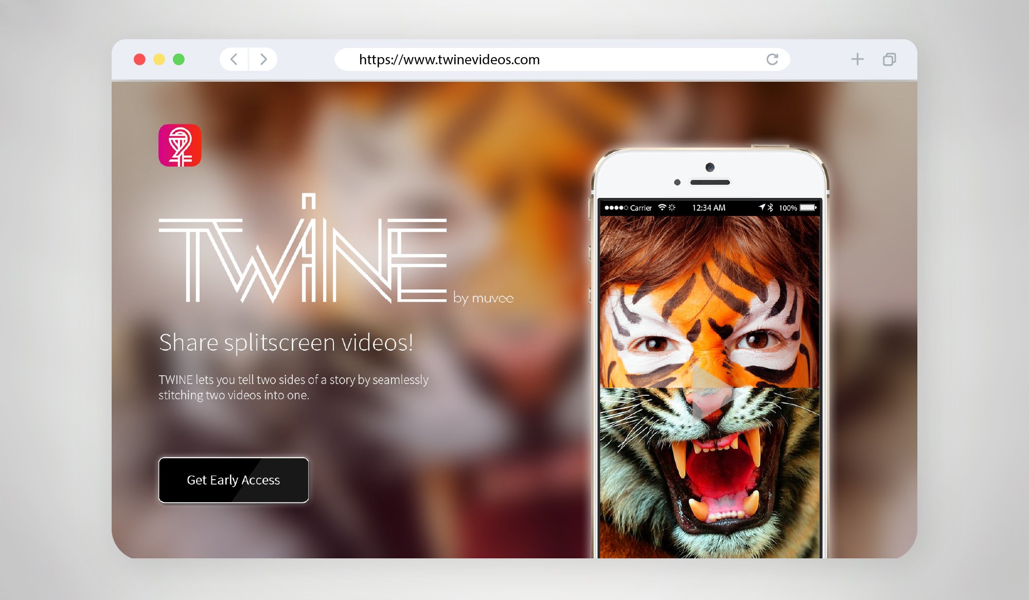 twine website-01.jpg