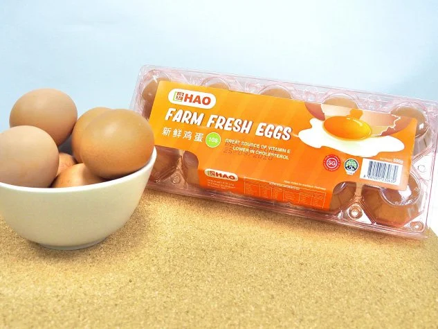 Artboard 1 copy 3.jpg