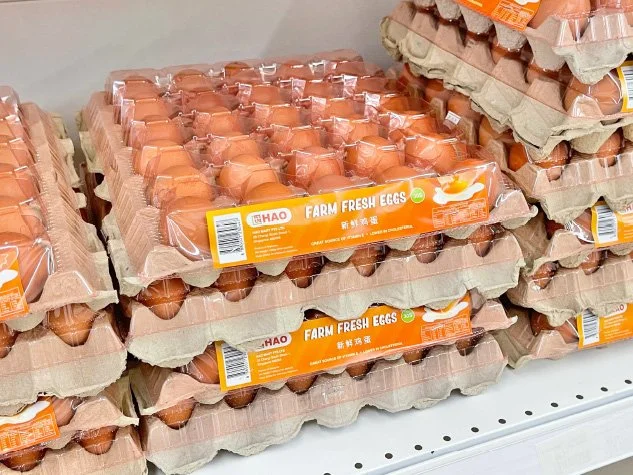 Artboard 1 copy 5.jpg