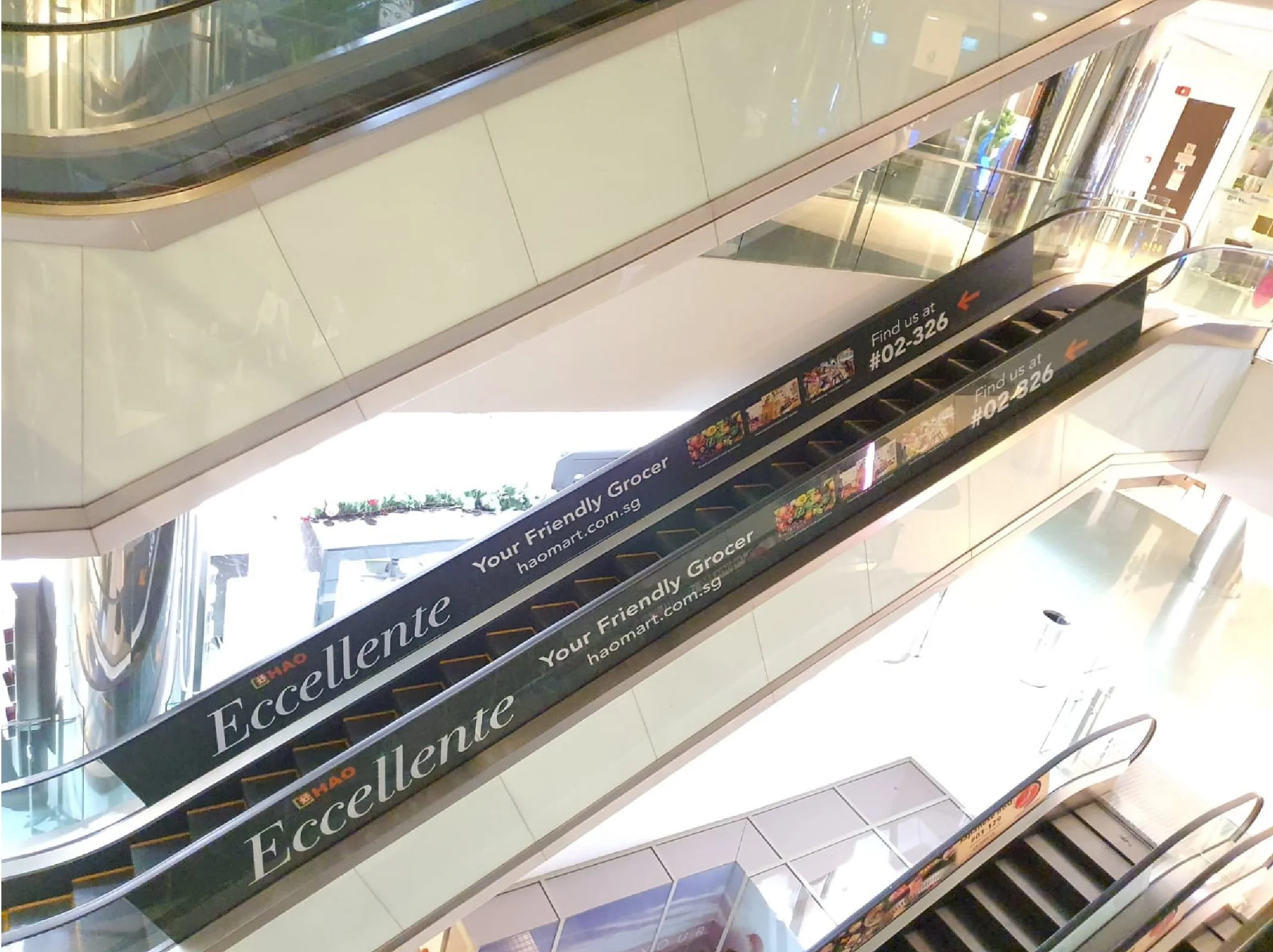 eccellente msq escalator-04.jpg