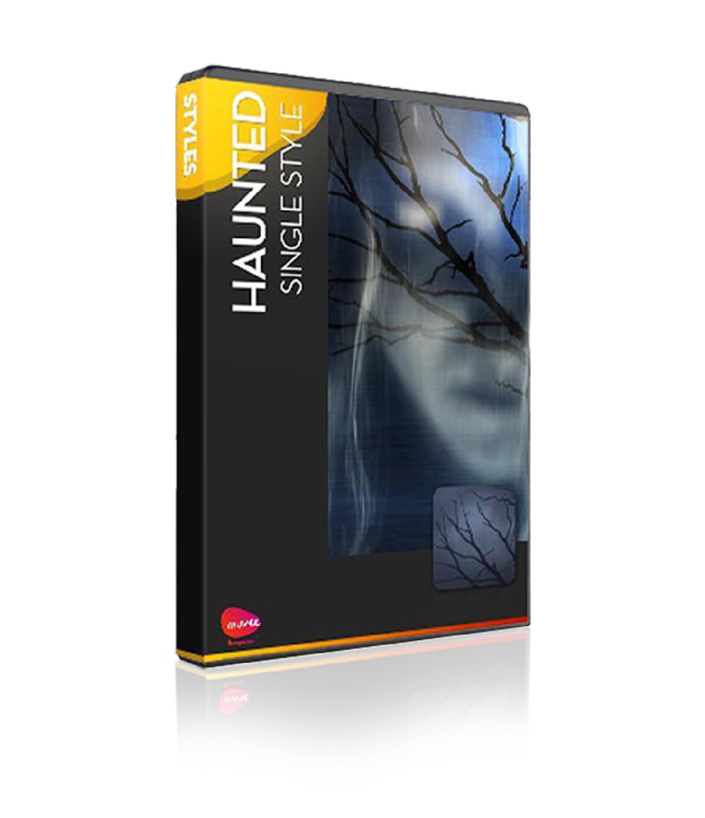 muvee stylepack boxes-10.jpg