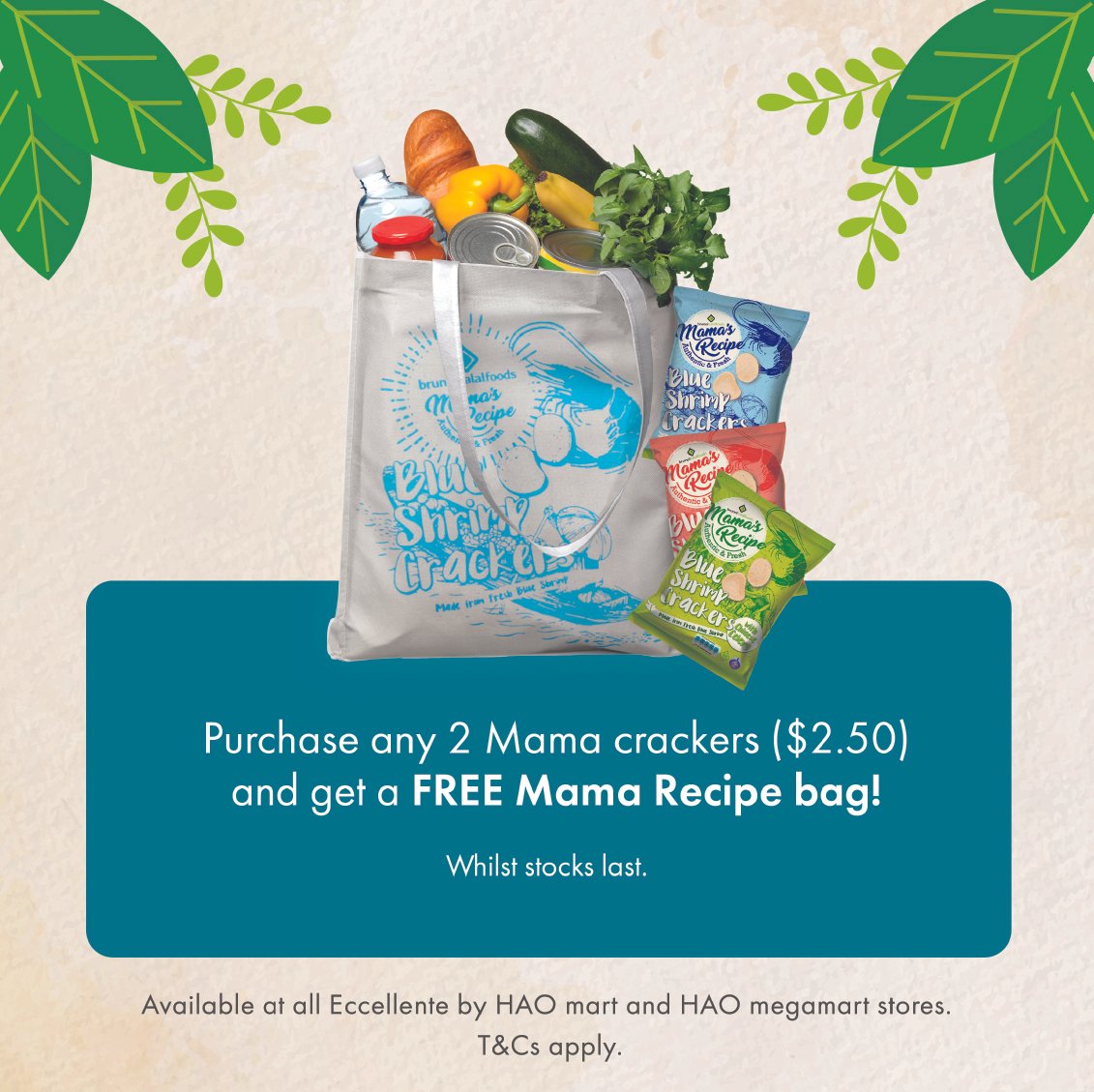 sustain a bag campaign-04.jpg