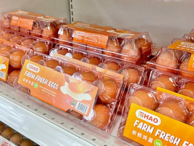 Artboard 1 copy 4.jpg