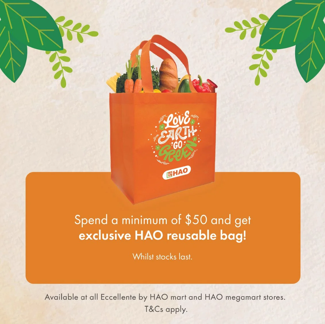 sustain a bag campaign-06.jpg