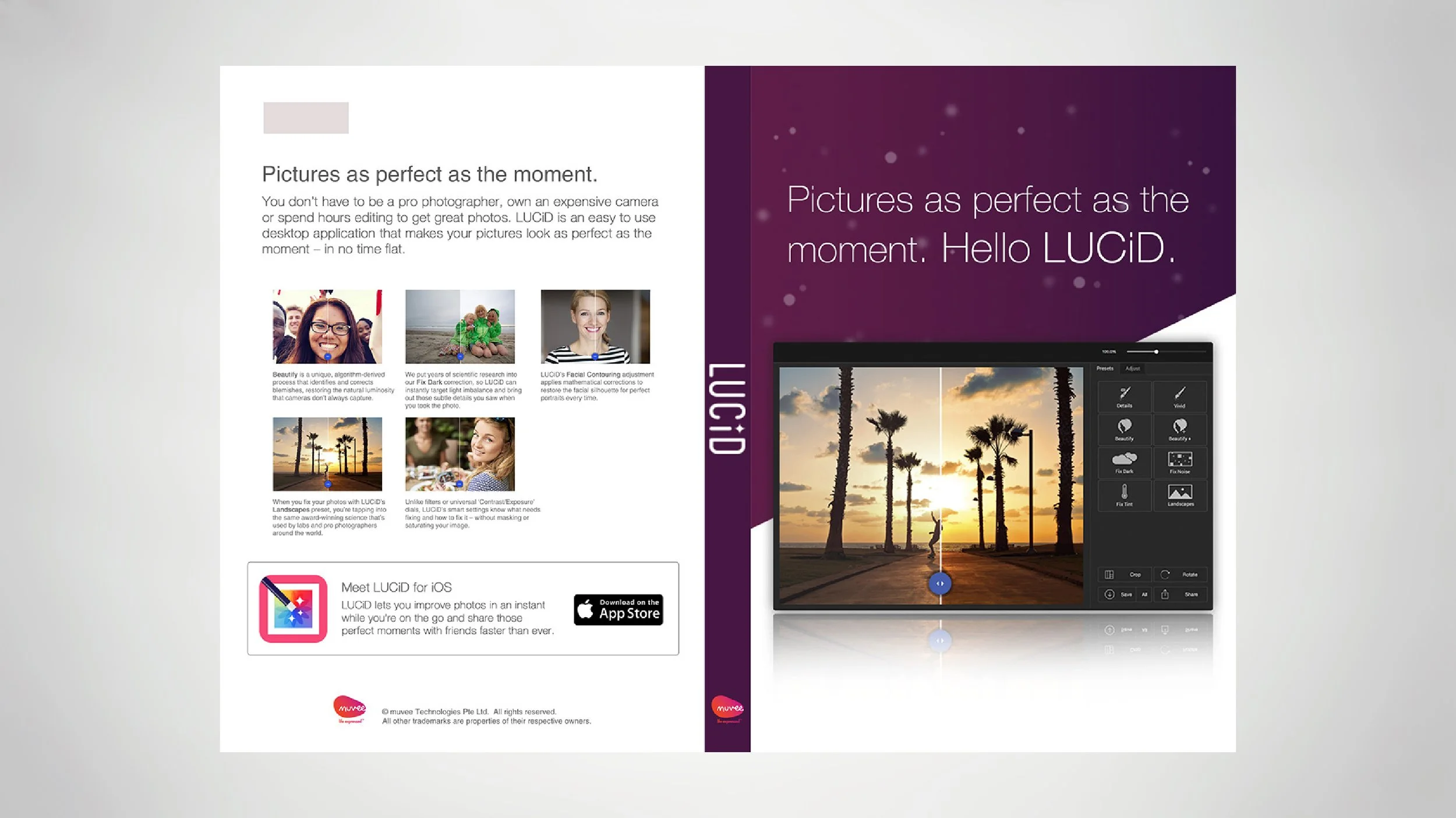 lucid boxshot-02.jpg