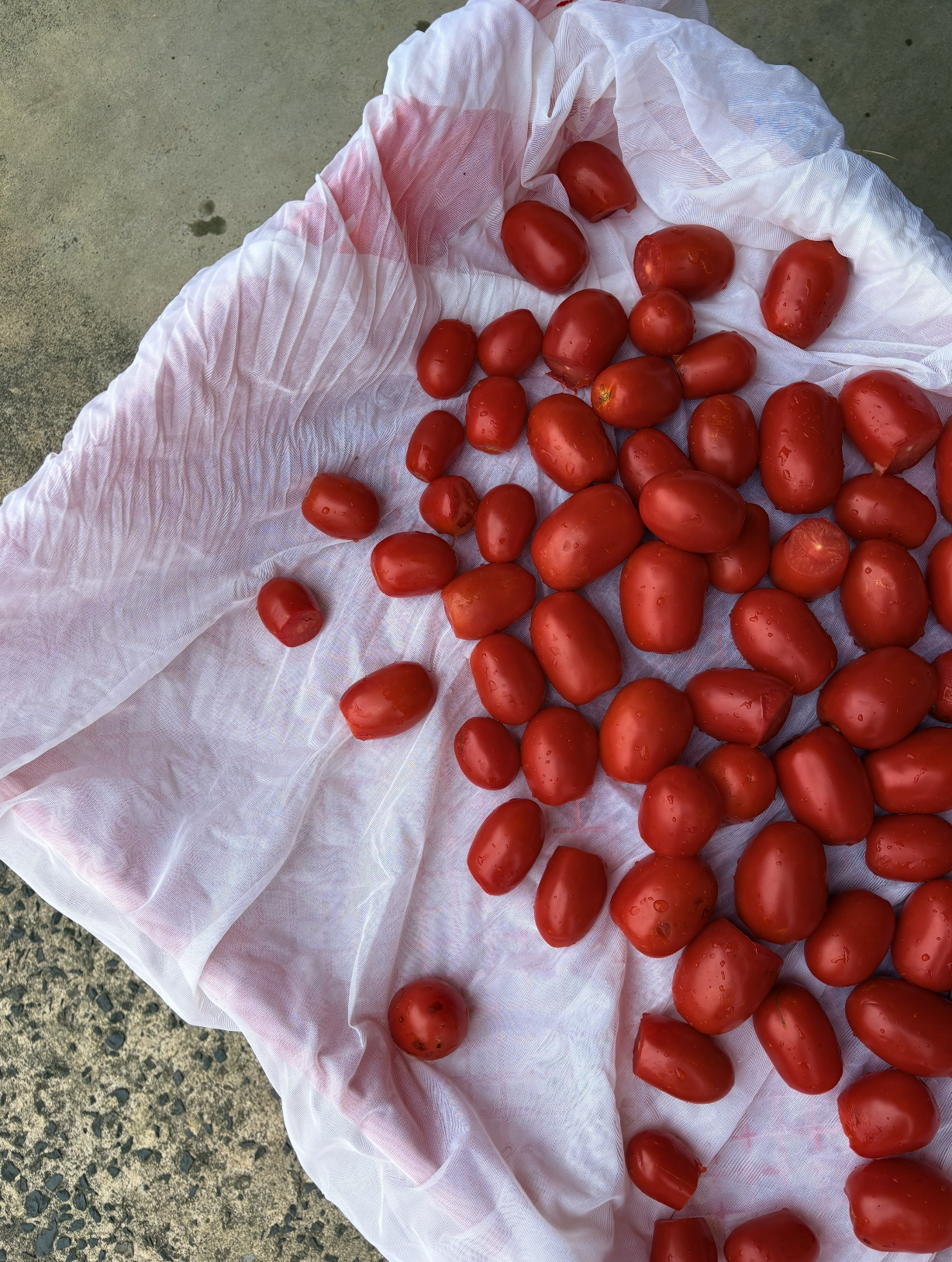 HOW TO MAKE PASSATA LIKE NONNA DOES
