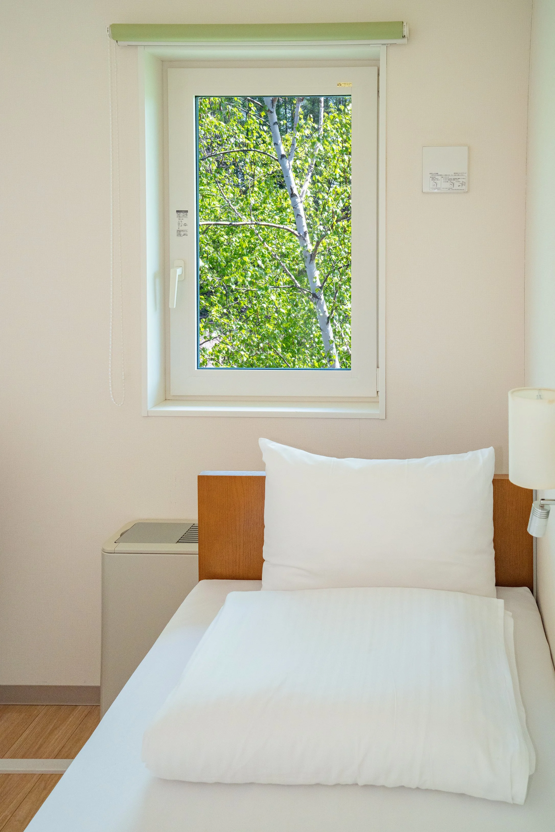 A hotel room with a bed, white sheets, and a white pillow, a bedside table, a window showing green trees outside, and beige walls.