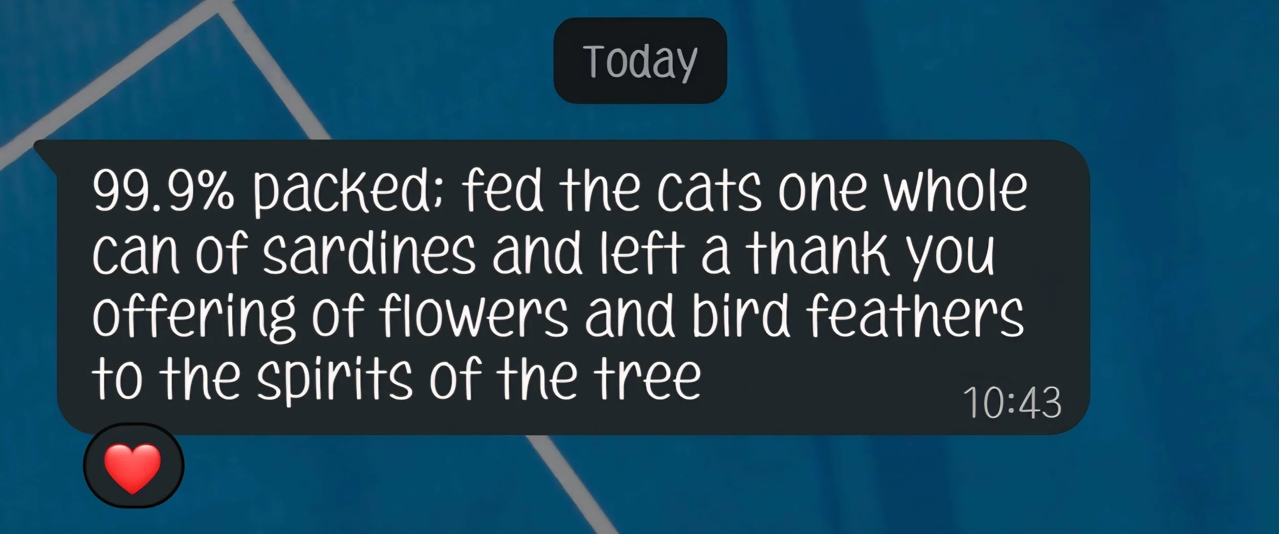 Birds of a feather