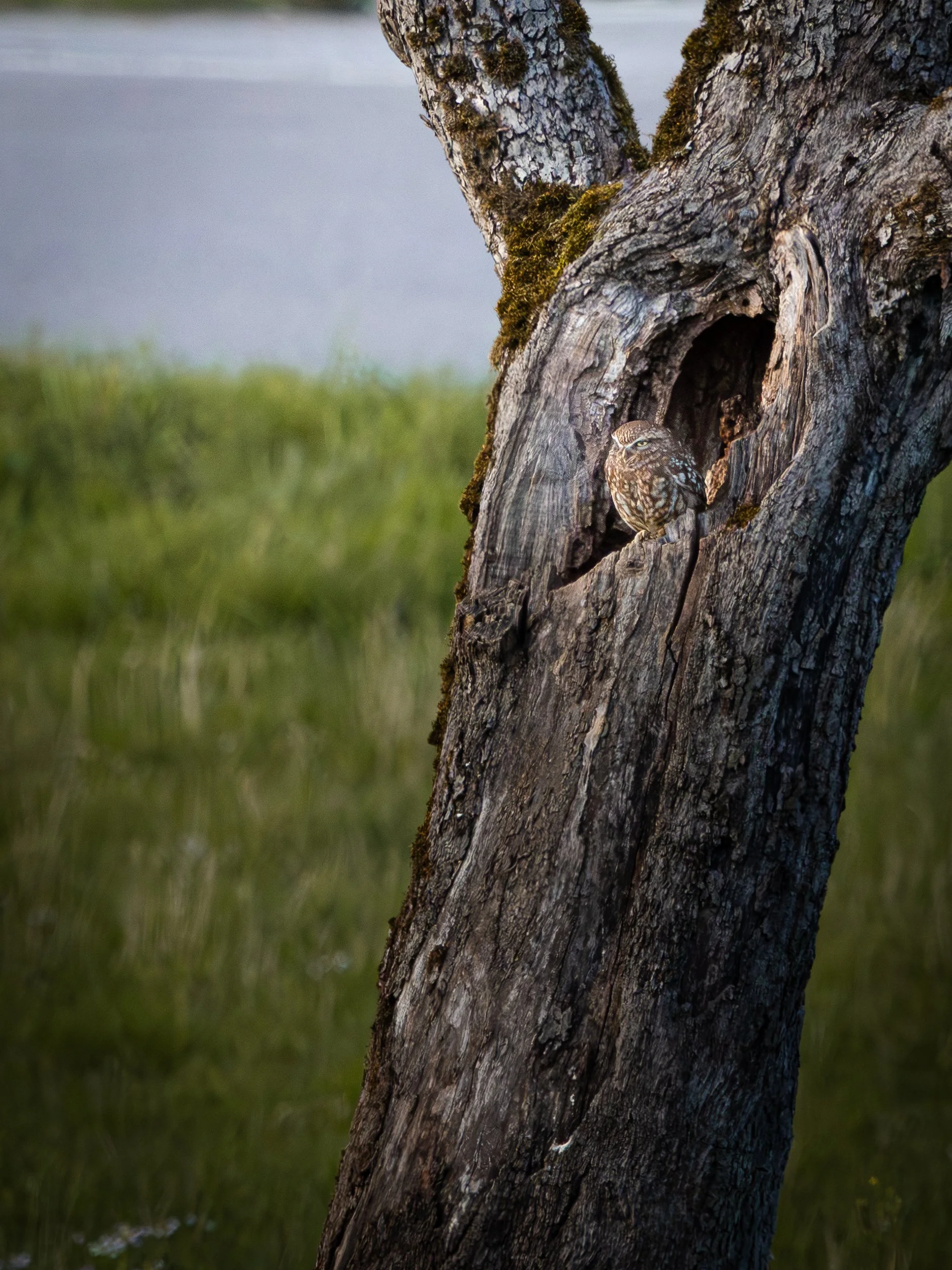 Wie viel Standort ist zu viel?
