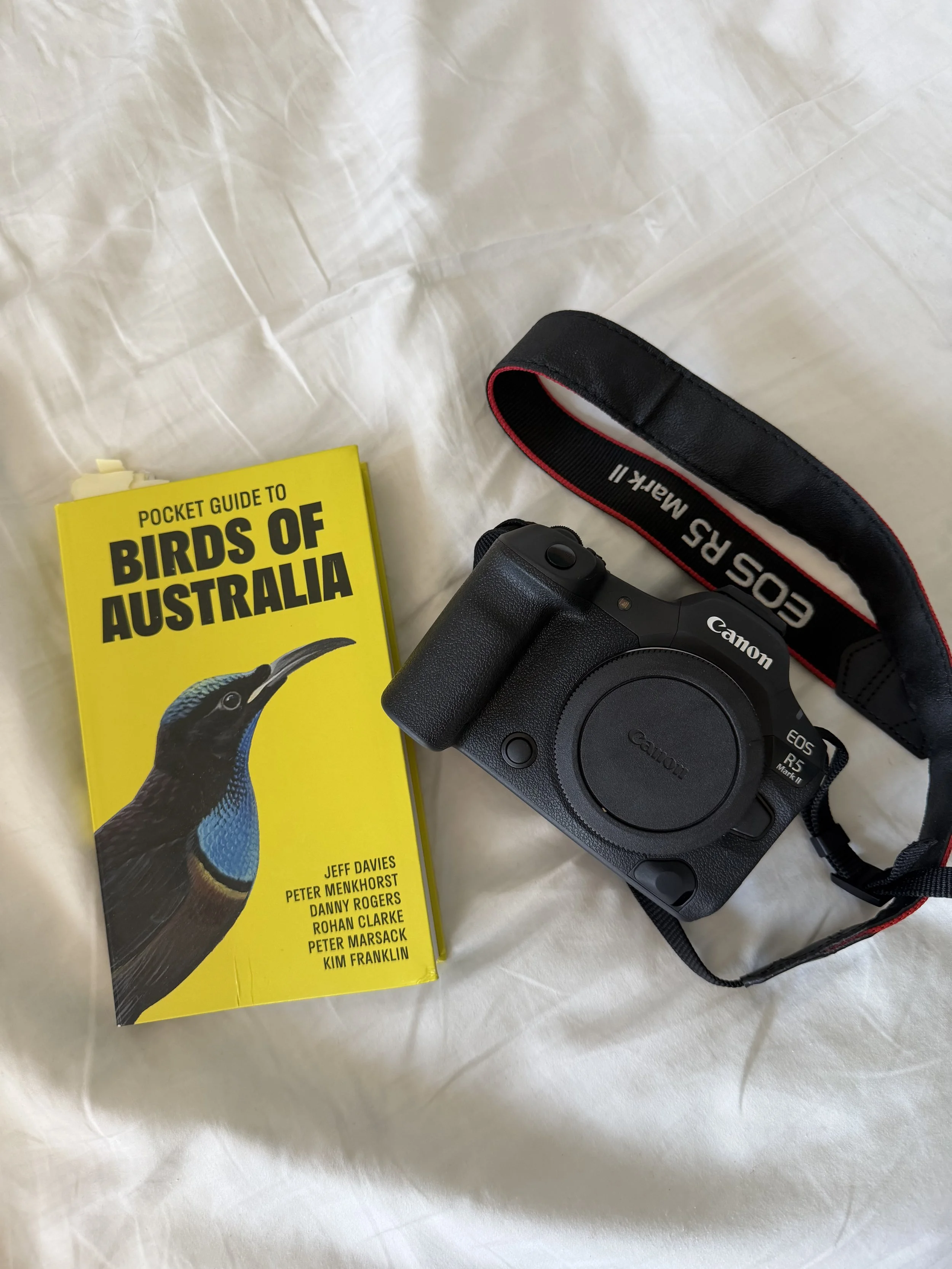 Ein Buch mit dem Titel "Pocket Guide to Birds of Australia", ein Canon EOS Kameragehäuse, das auf einer weißen Oberfläche liegt, und ein black-red GOSR strap. Das Buch hat ein Bild eines bunten australischen Vogels auf dem Cover.