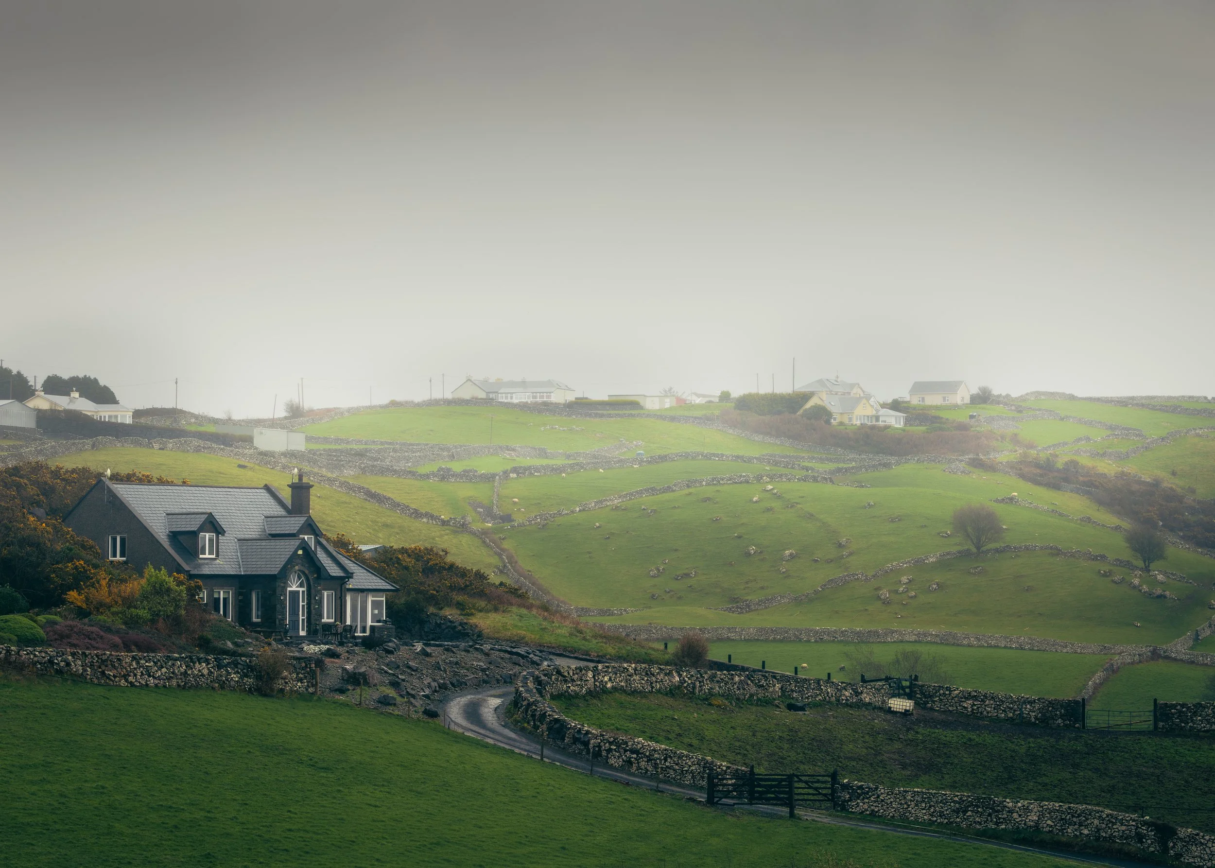 Ein ländliches Landschaftsbild mit grünen Wiesen, Springmauern und verstreuten Häusern unter einem nebligen Himmel.