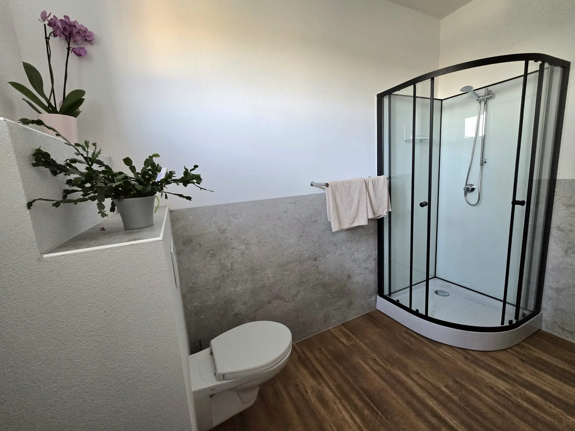 Ein Badezimmer mit einer Dusche, einem WC, einer Pflanze auf einem Regal und einem Handtuch an einer Stange.